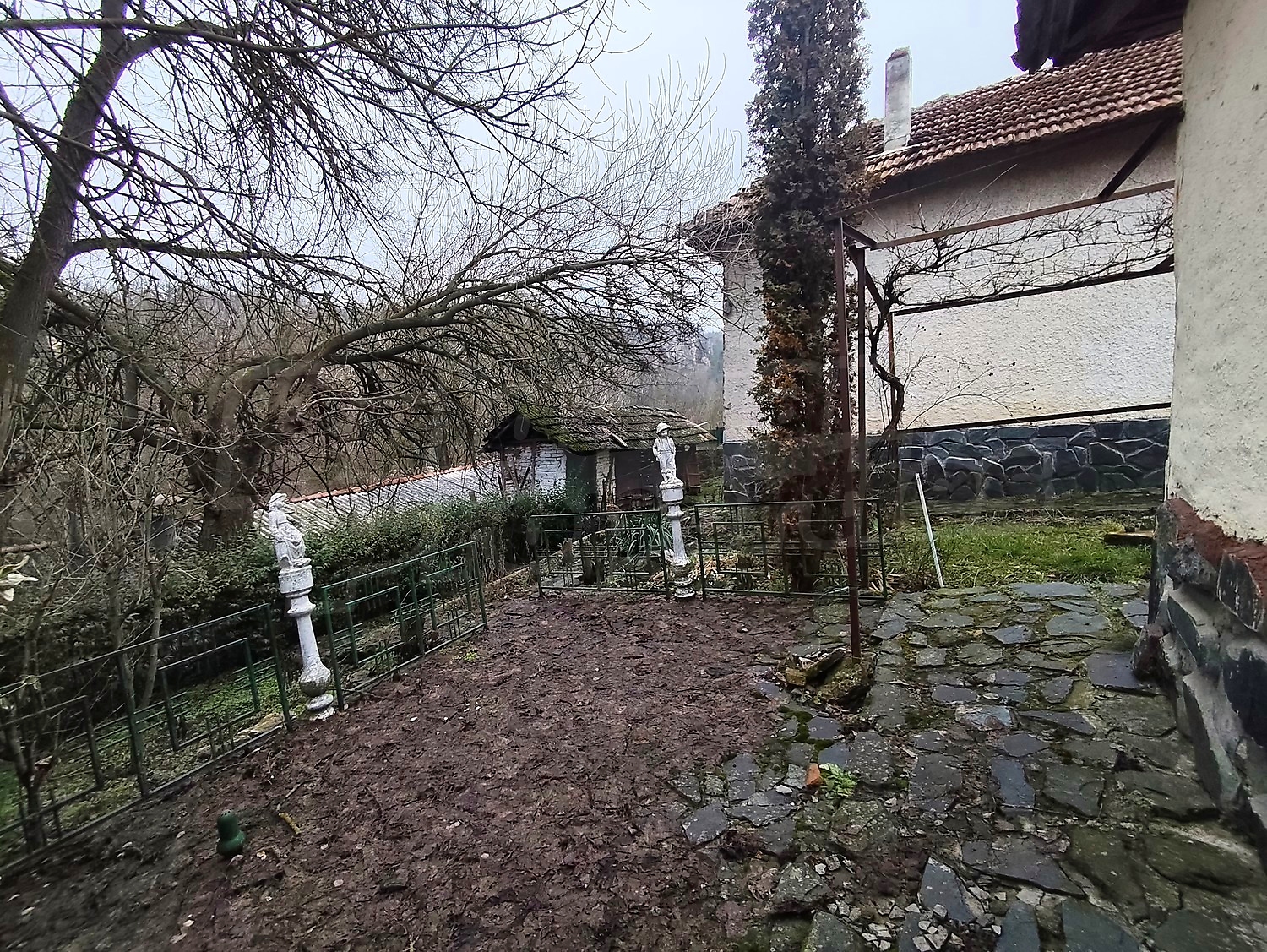 Gallery Picture 34