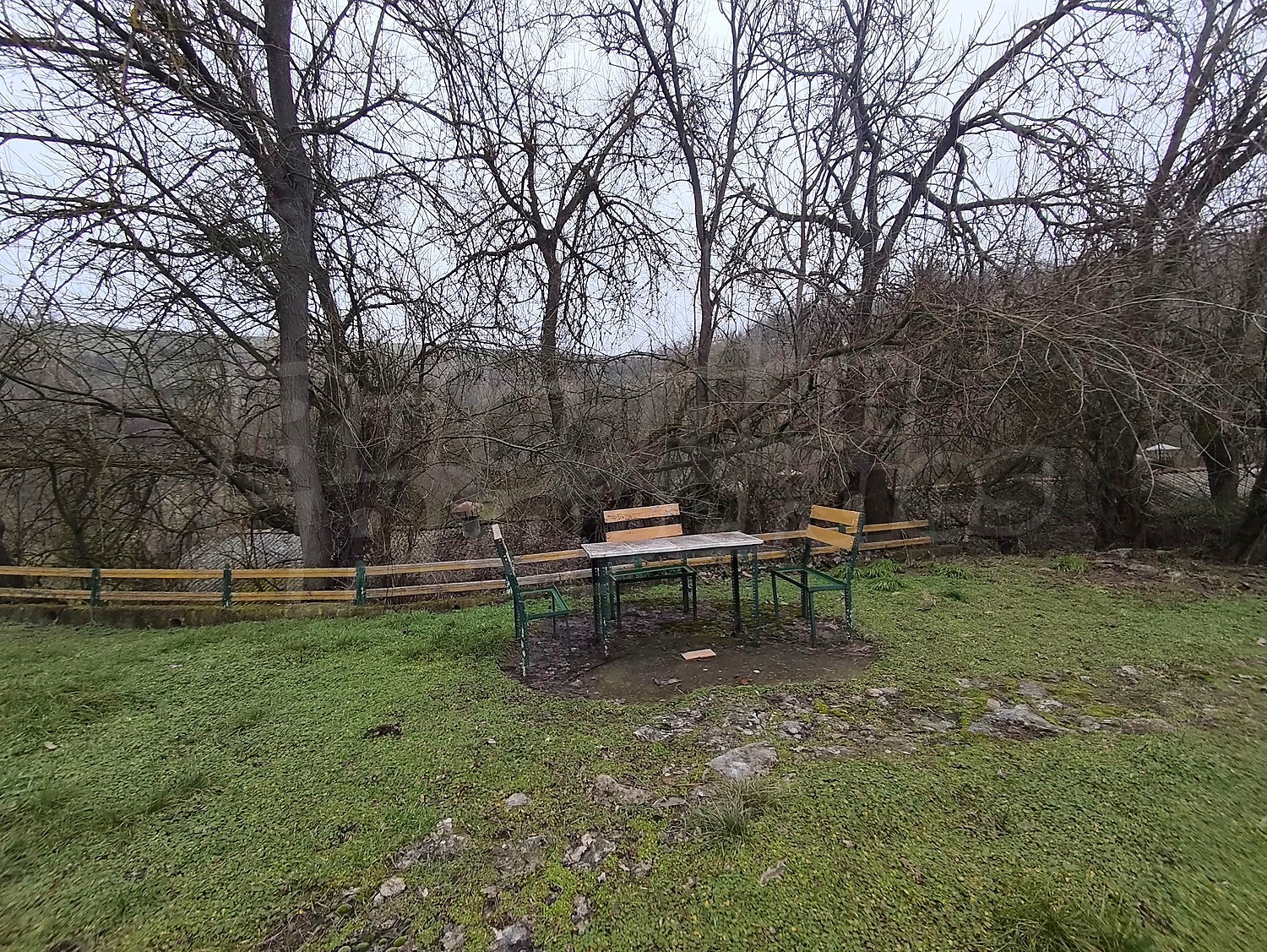 Gallery Picture 36