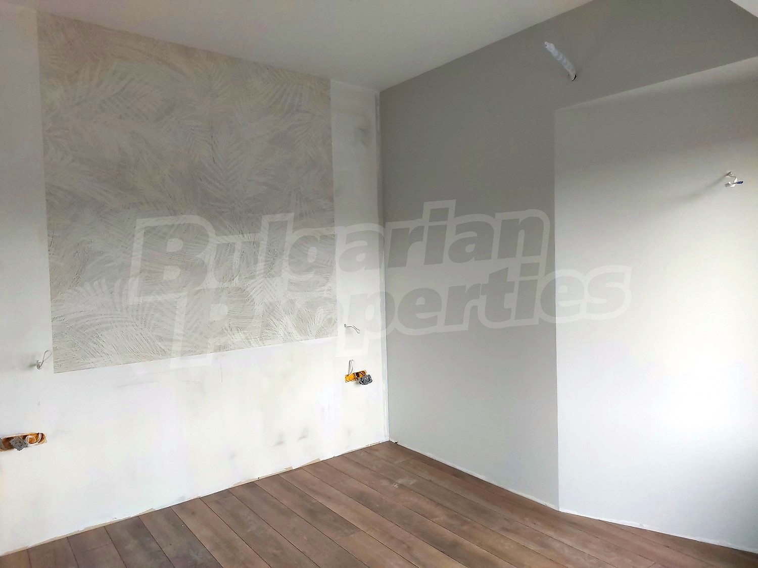 Gallery Picture 31