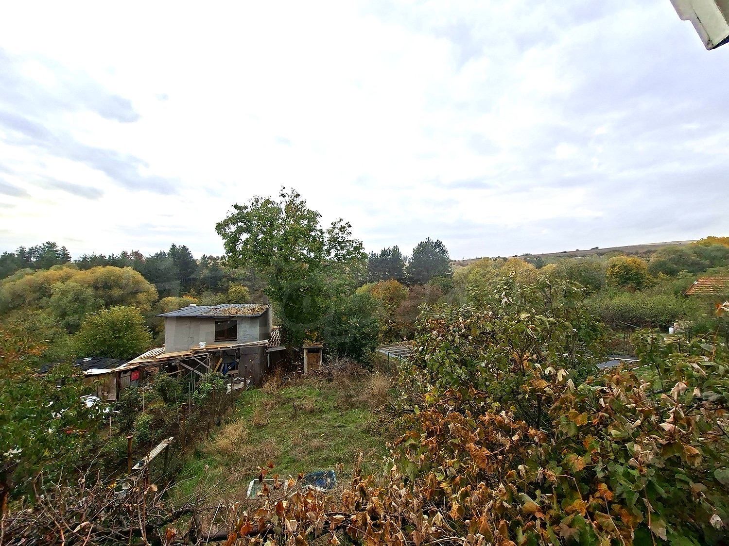 Gallery Picture 10