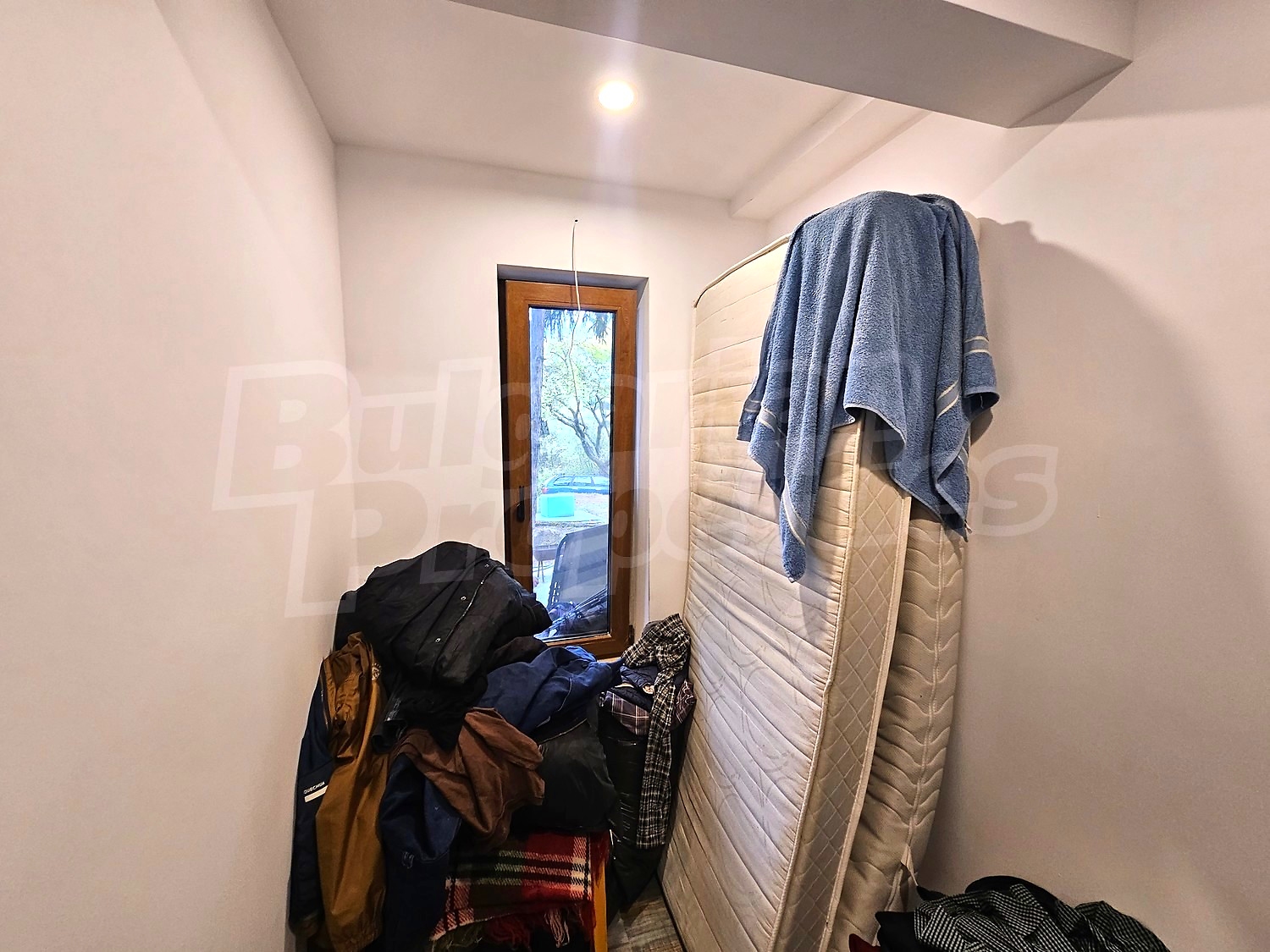 Gallery Picture 29