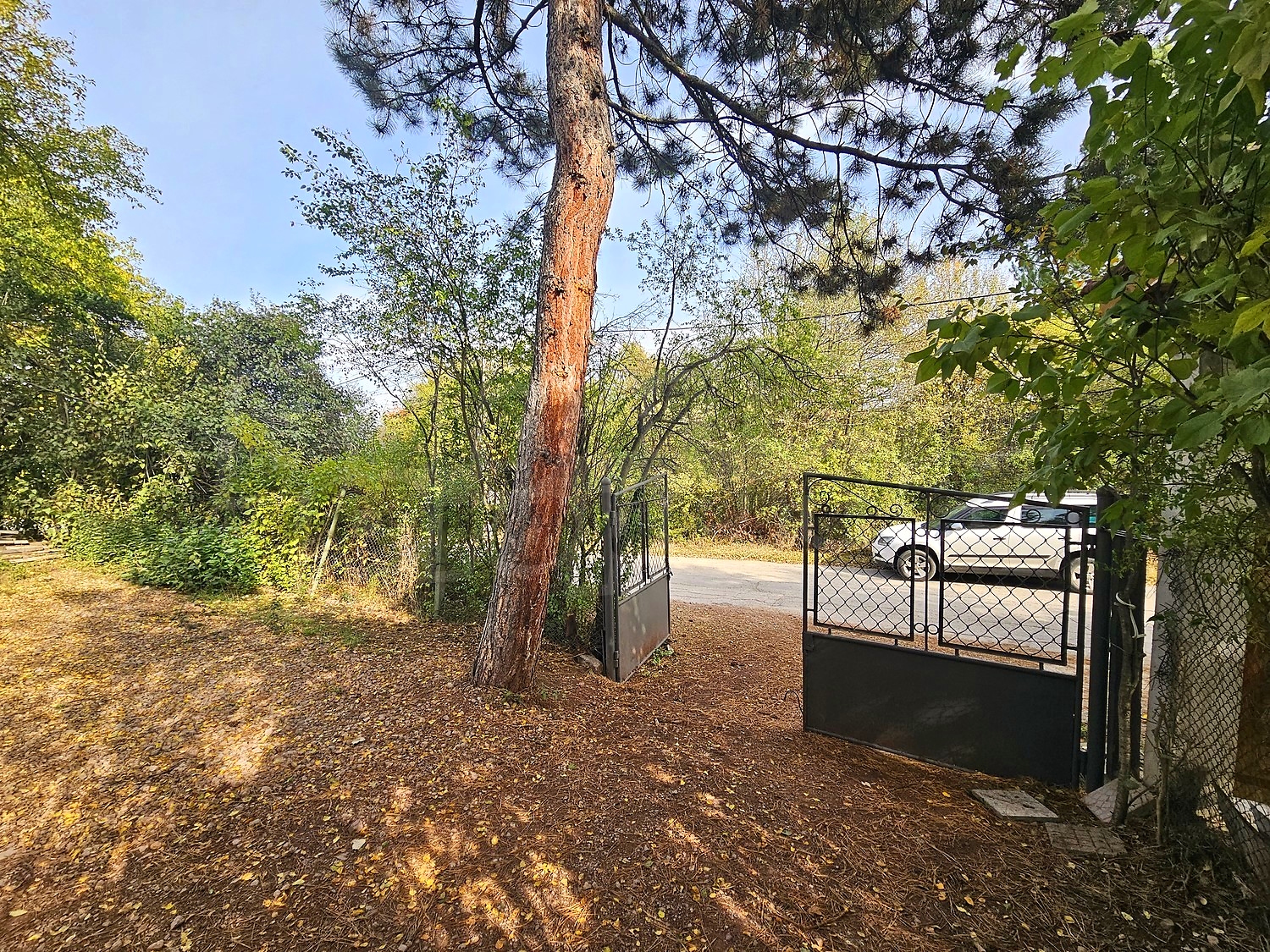 Gallery Picture 45
