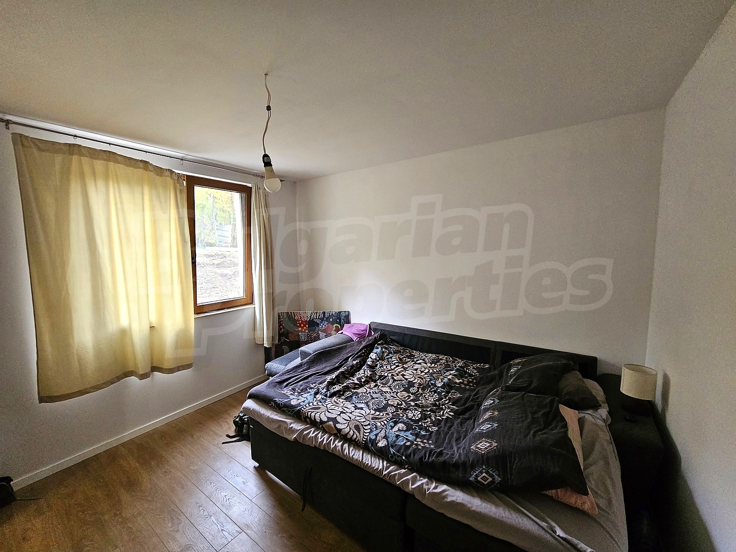 Gallery Picture 12