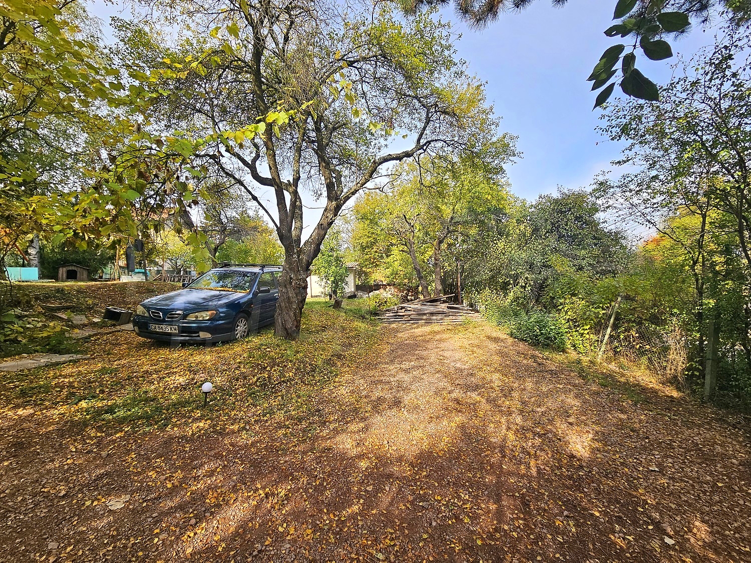 Gallery Picture 44