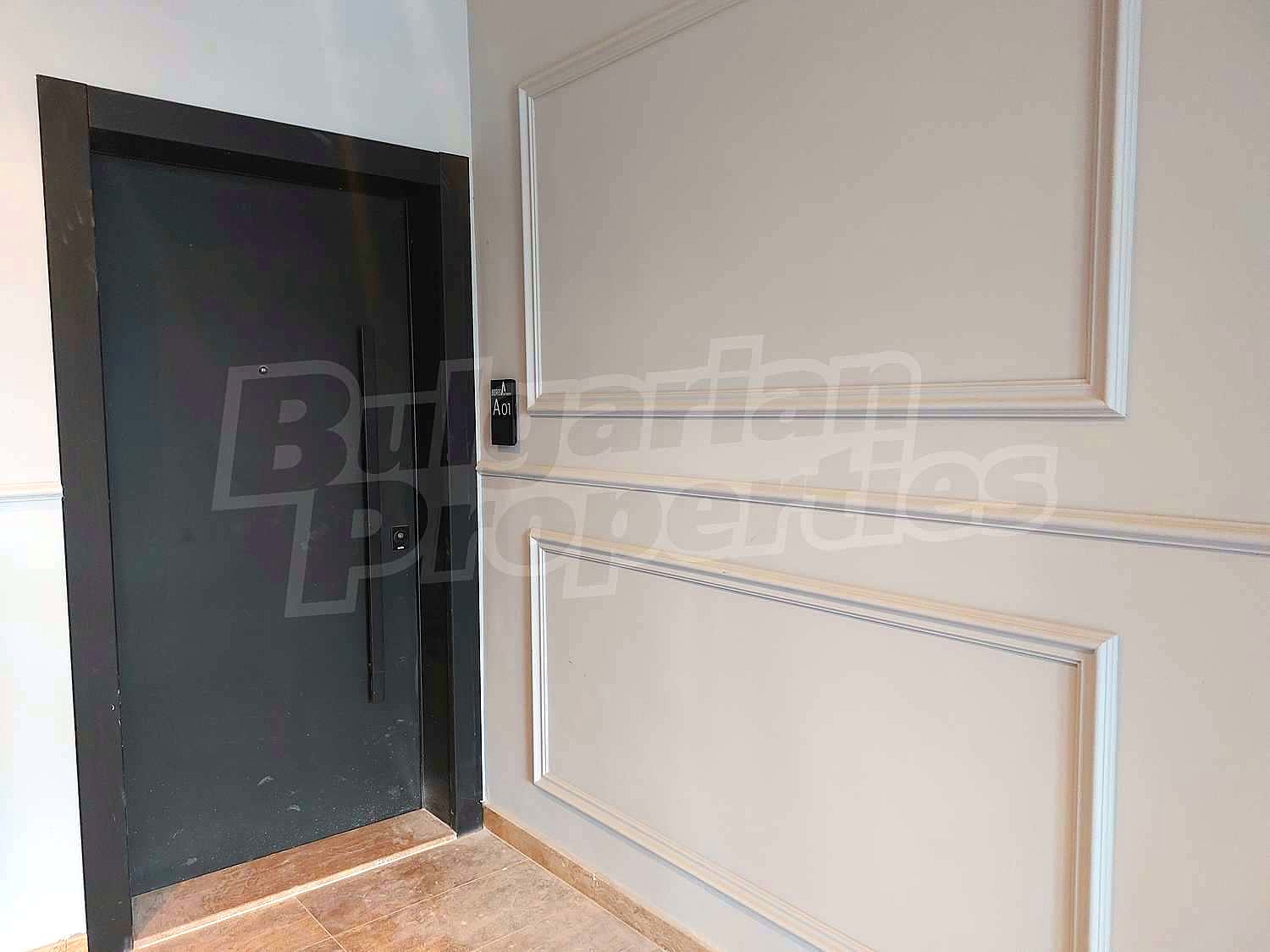 Gallery Picture 62