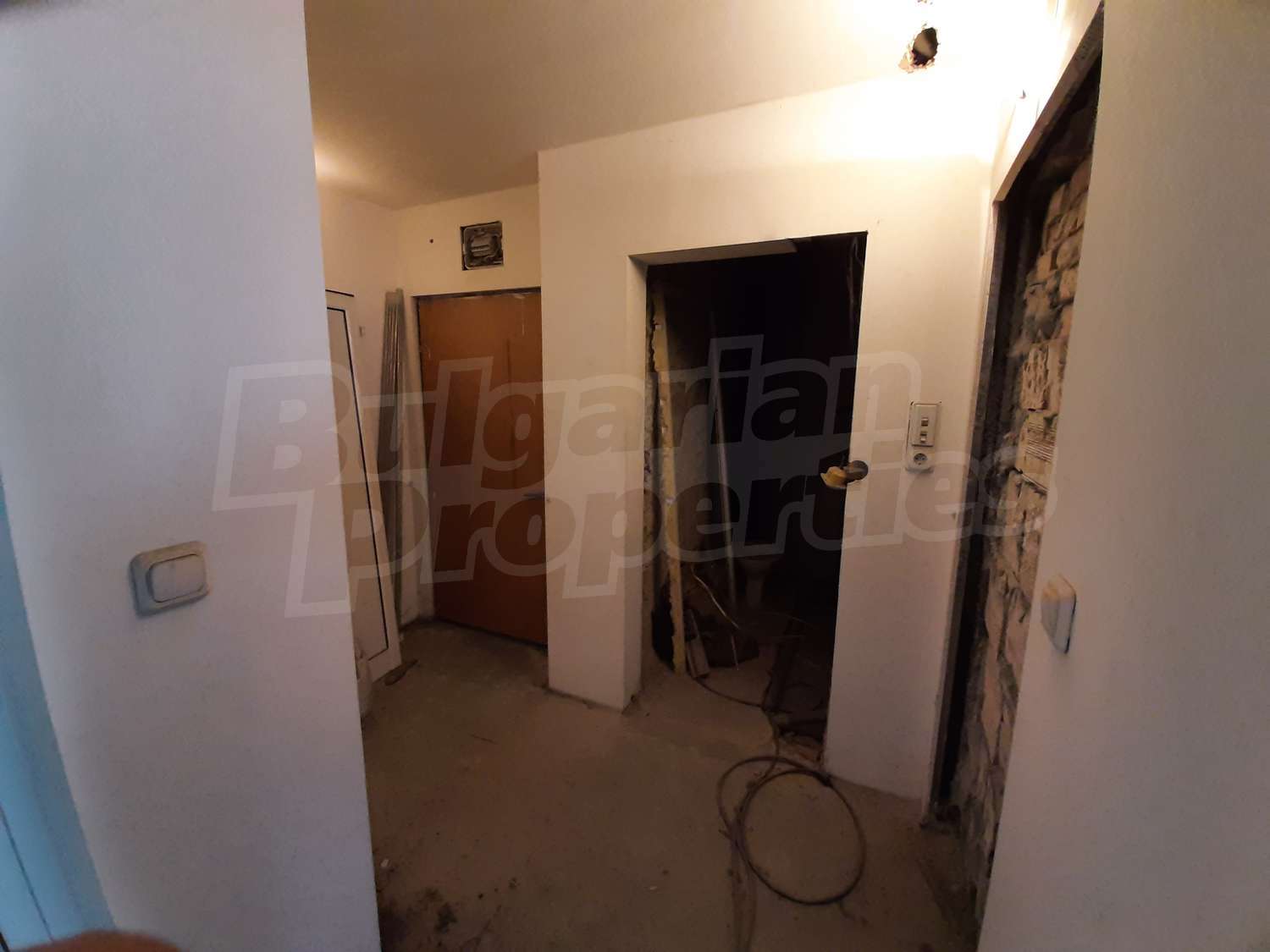 Gallery Picture 5