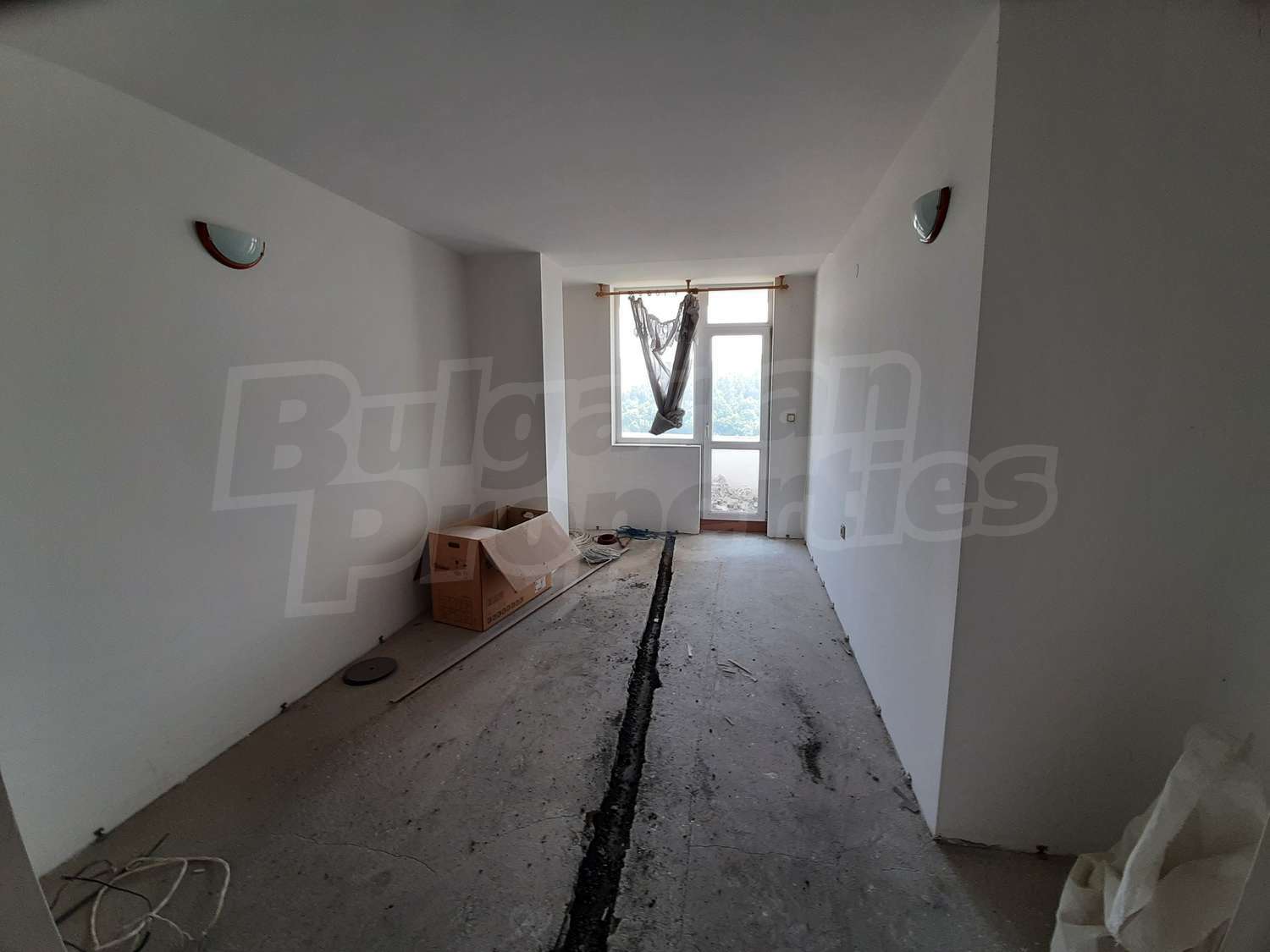 Gallery Picture 6