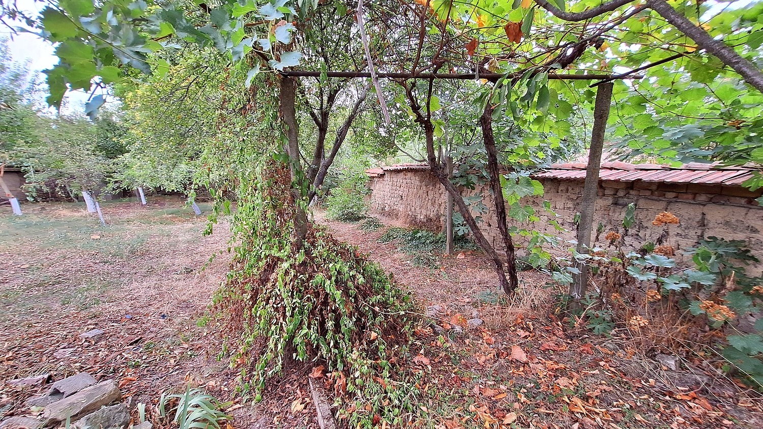 Gallery Picture 31