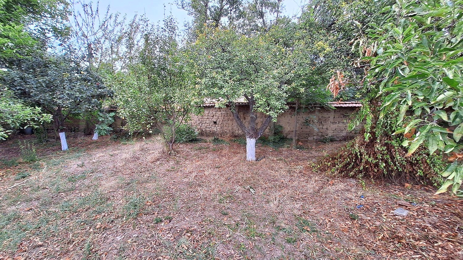 Gallery Picture 35
