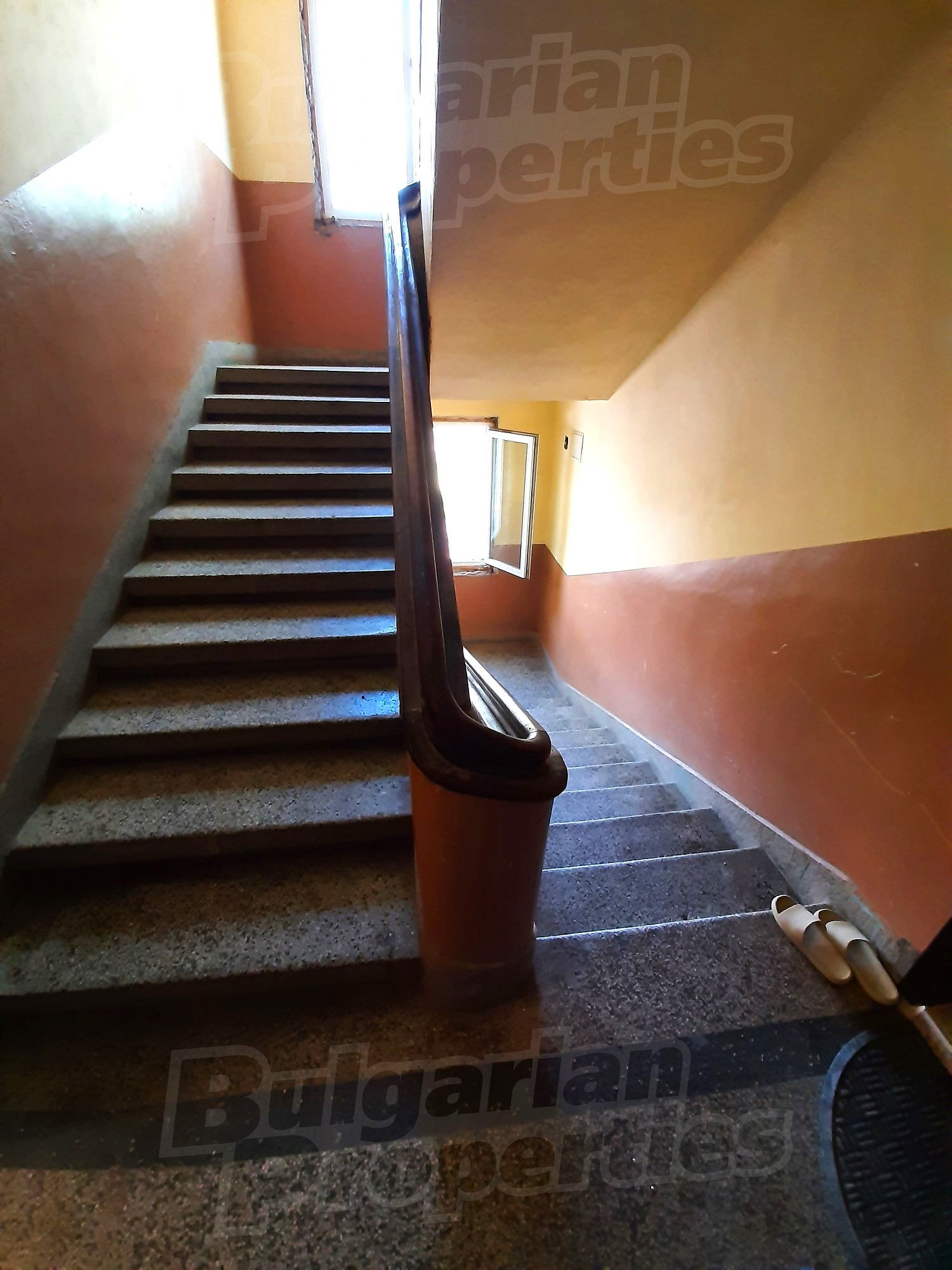 Gallery Picture 29