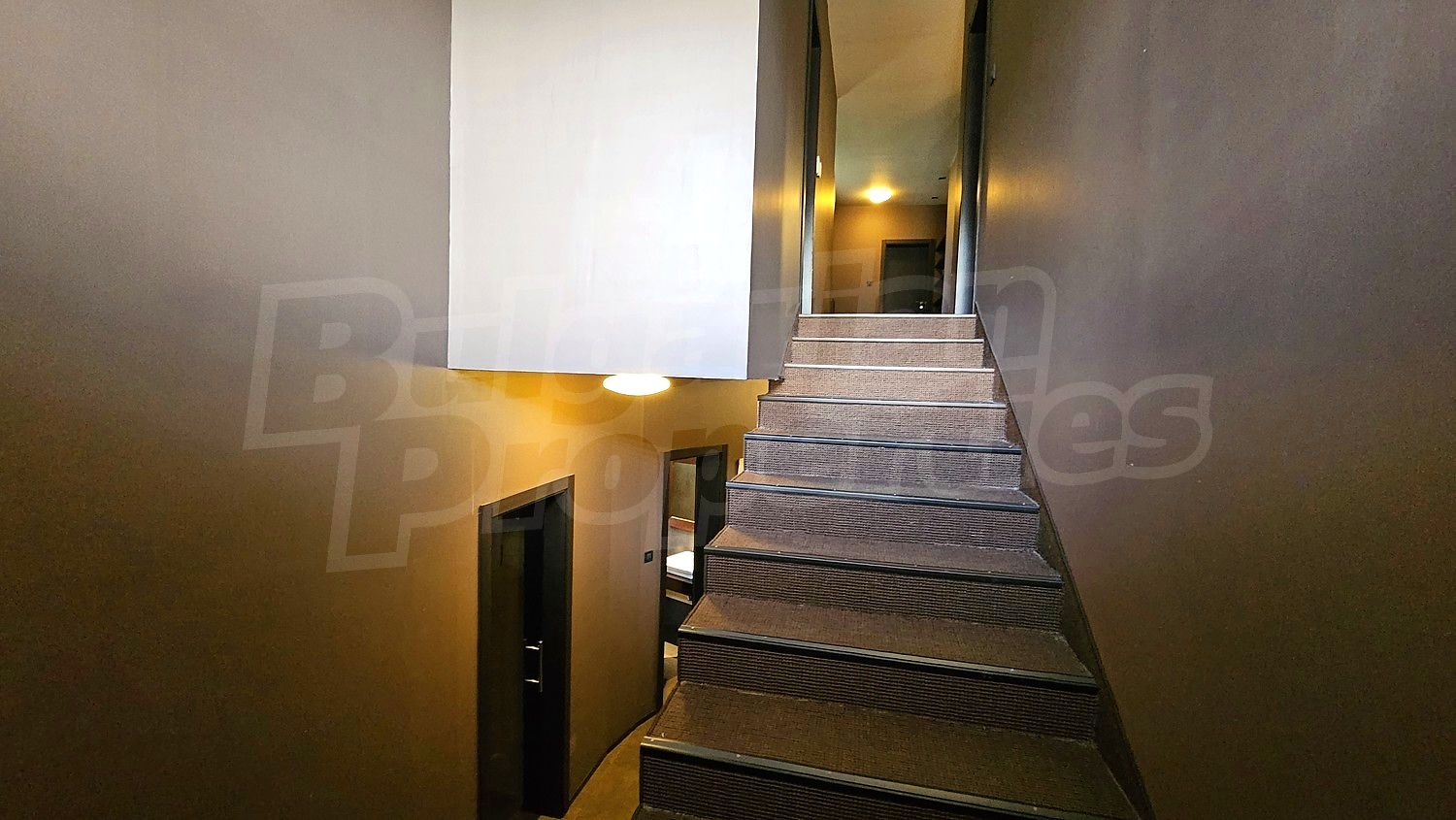 Gallery Picture 19