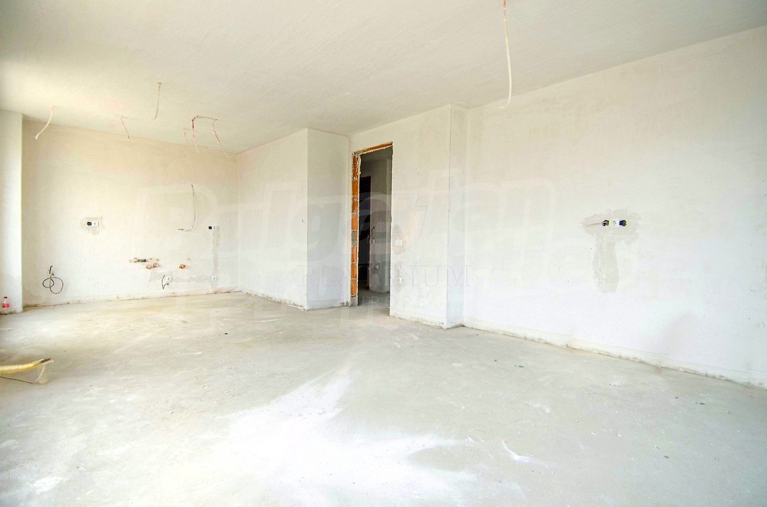 Gallery Picture 10