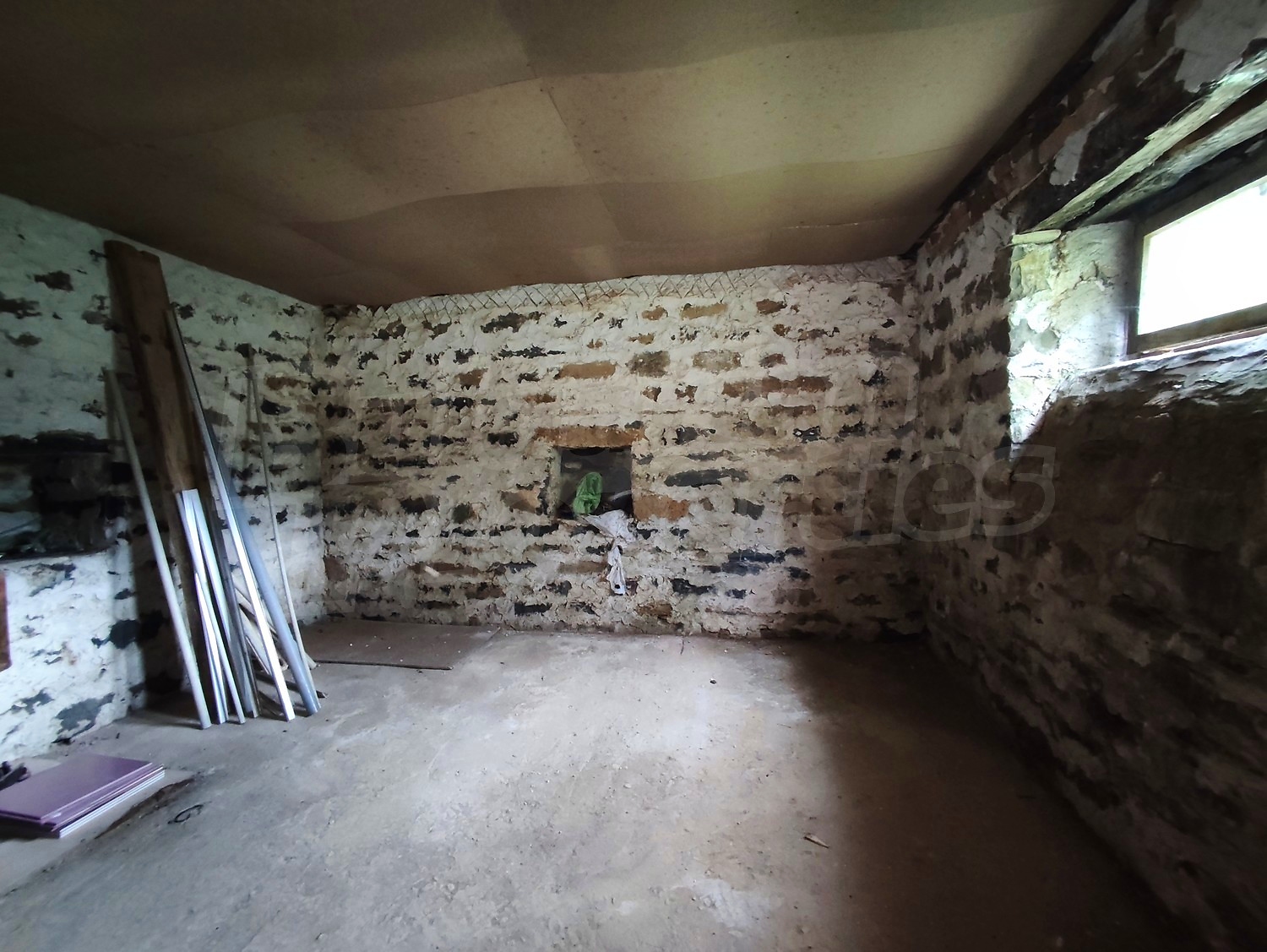 Gallery Picture 16