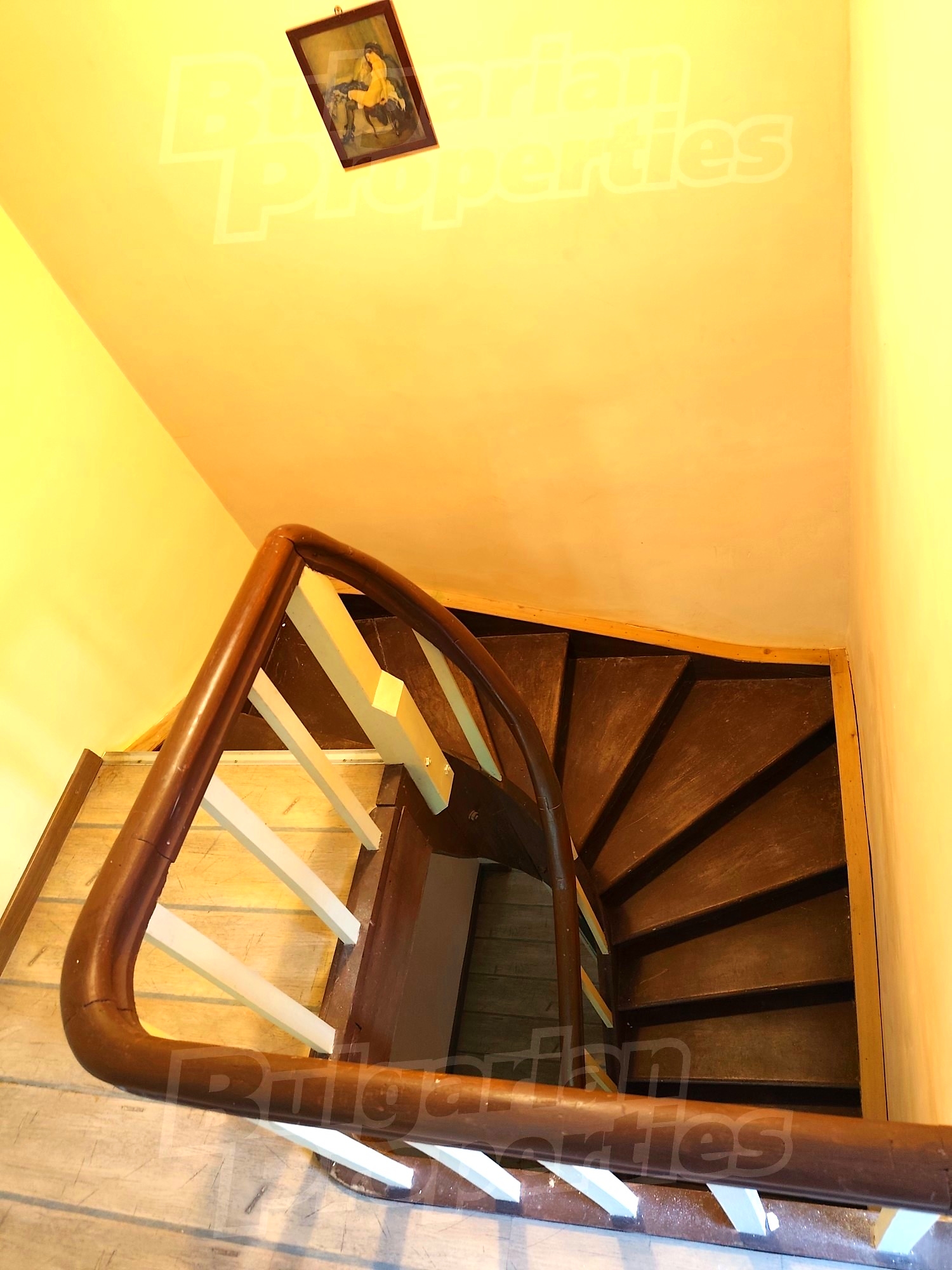 Gallery Picture 30