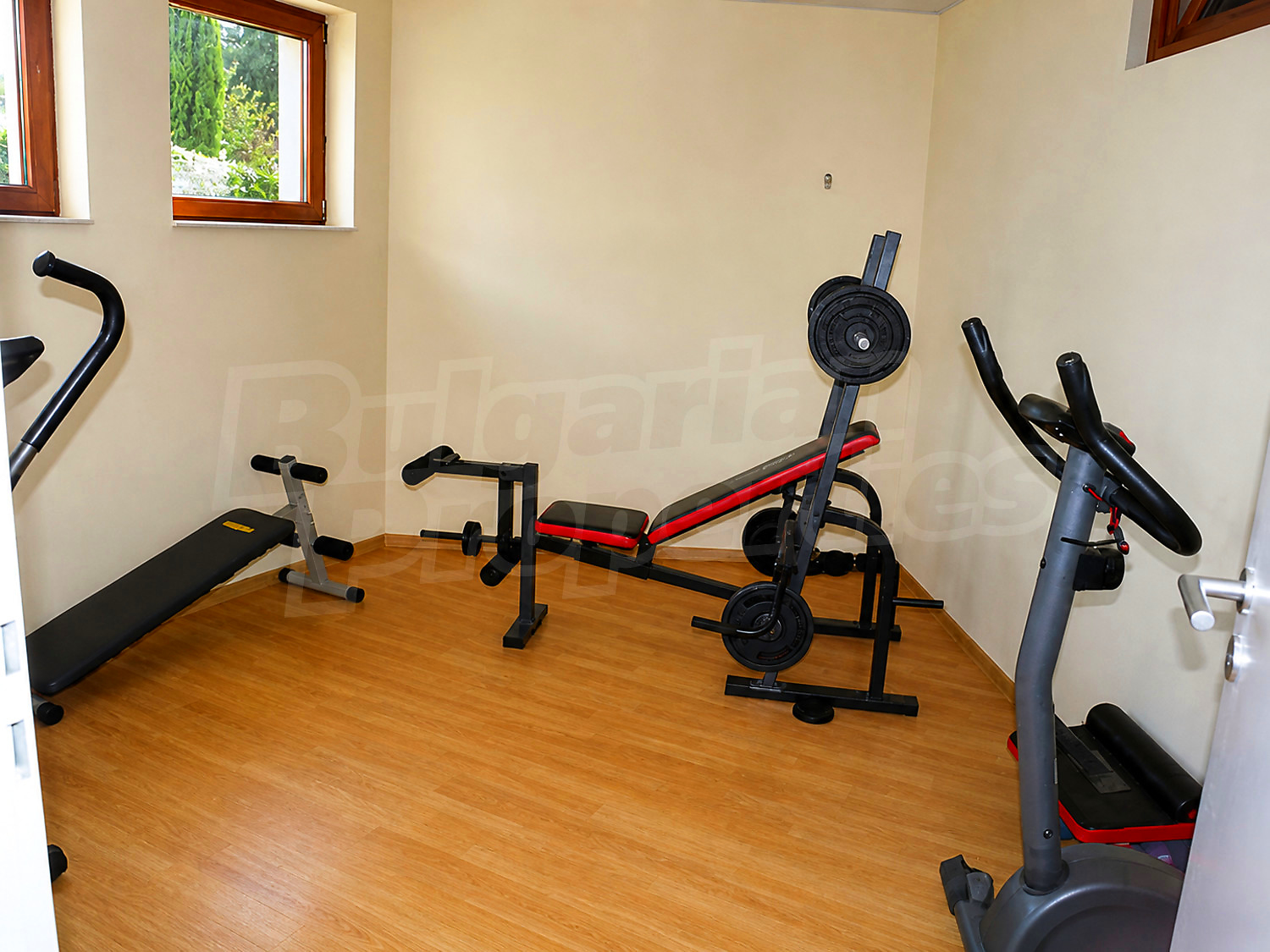 Gallery Picture 53