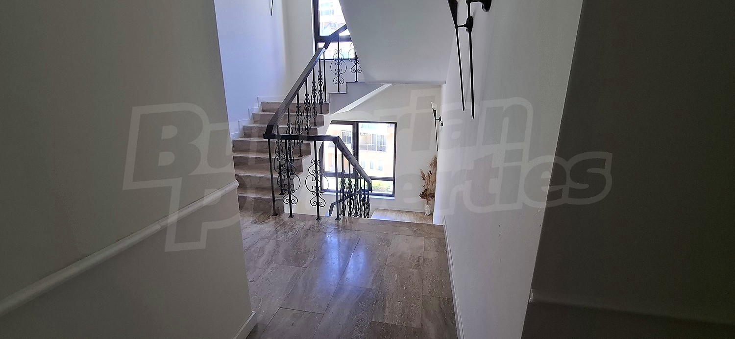 Gallery Picture 19
