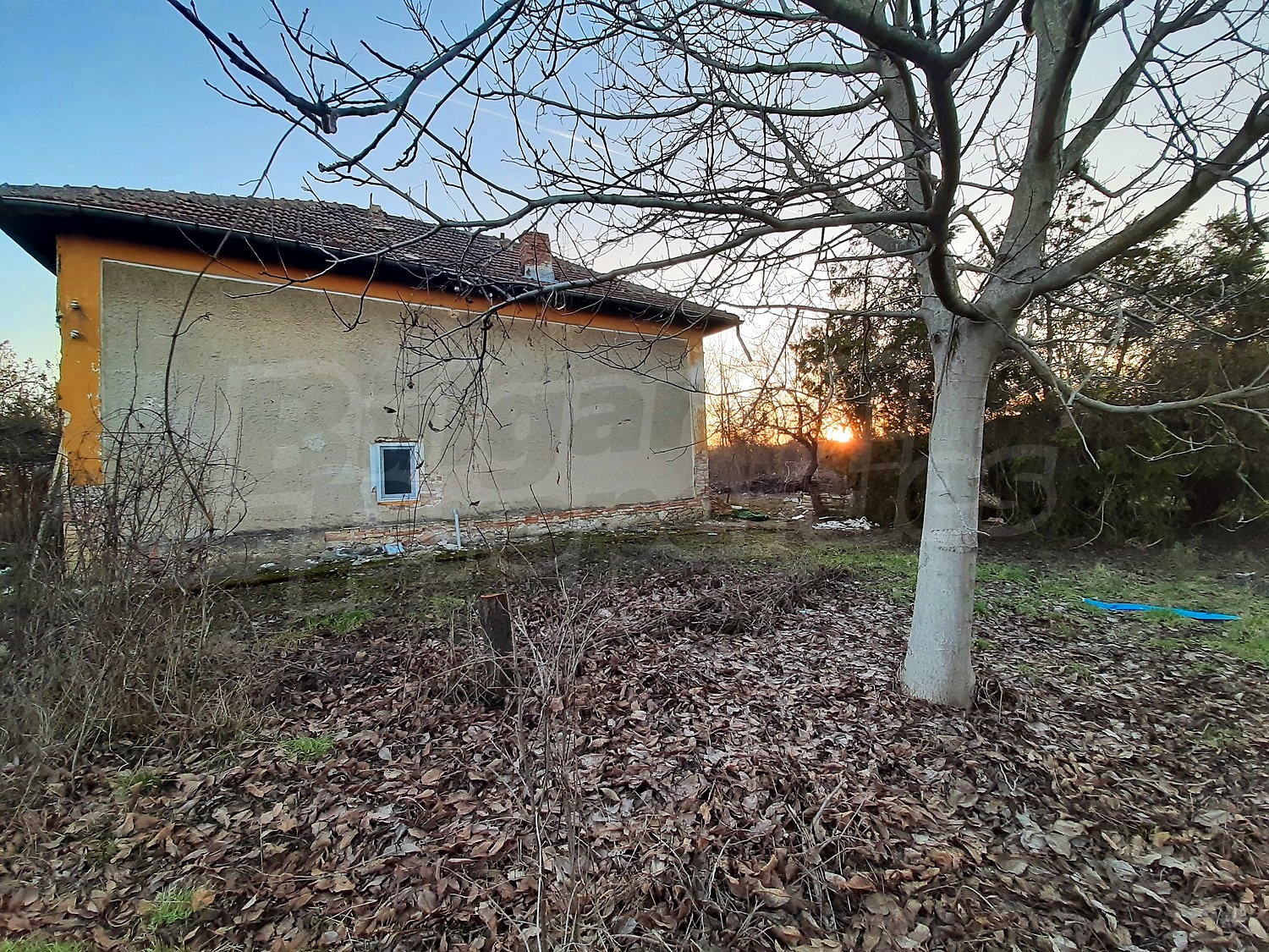 Gallery Picture 2