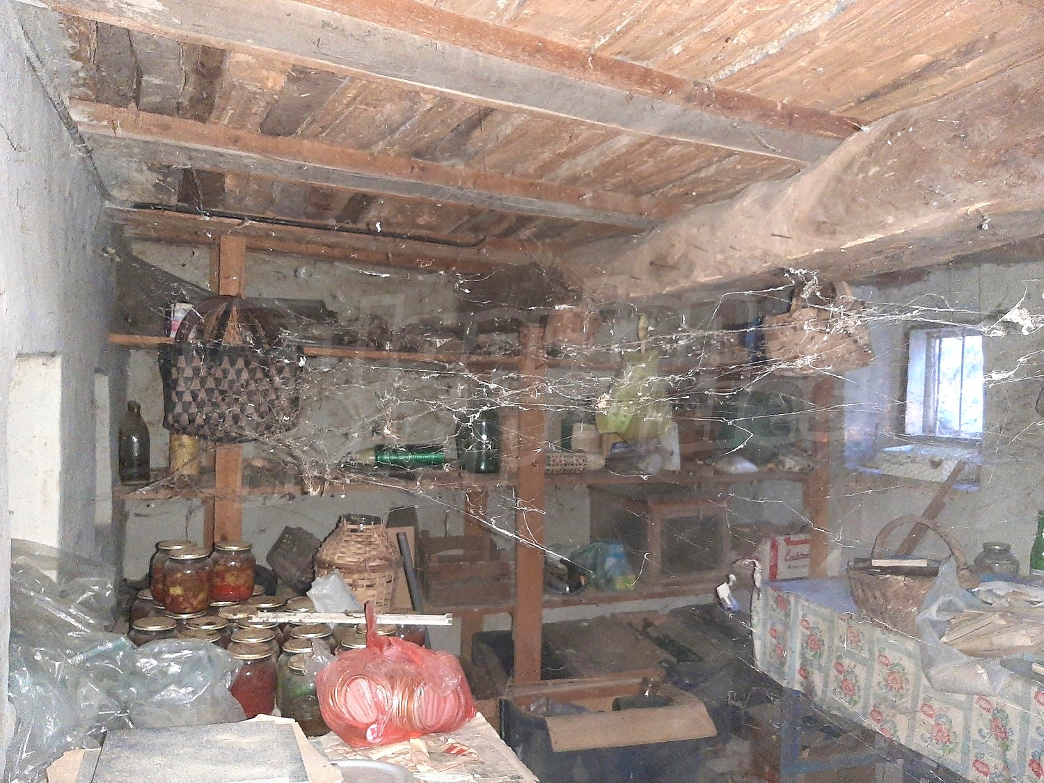 Gallery Picture 16