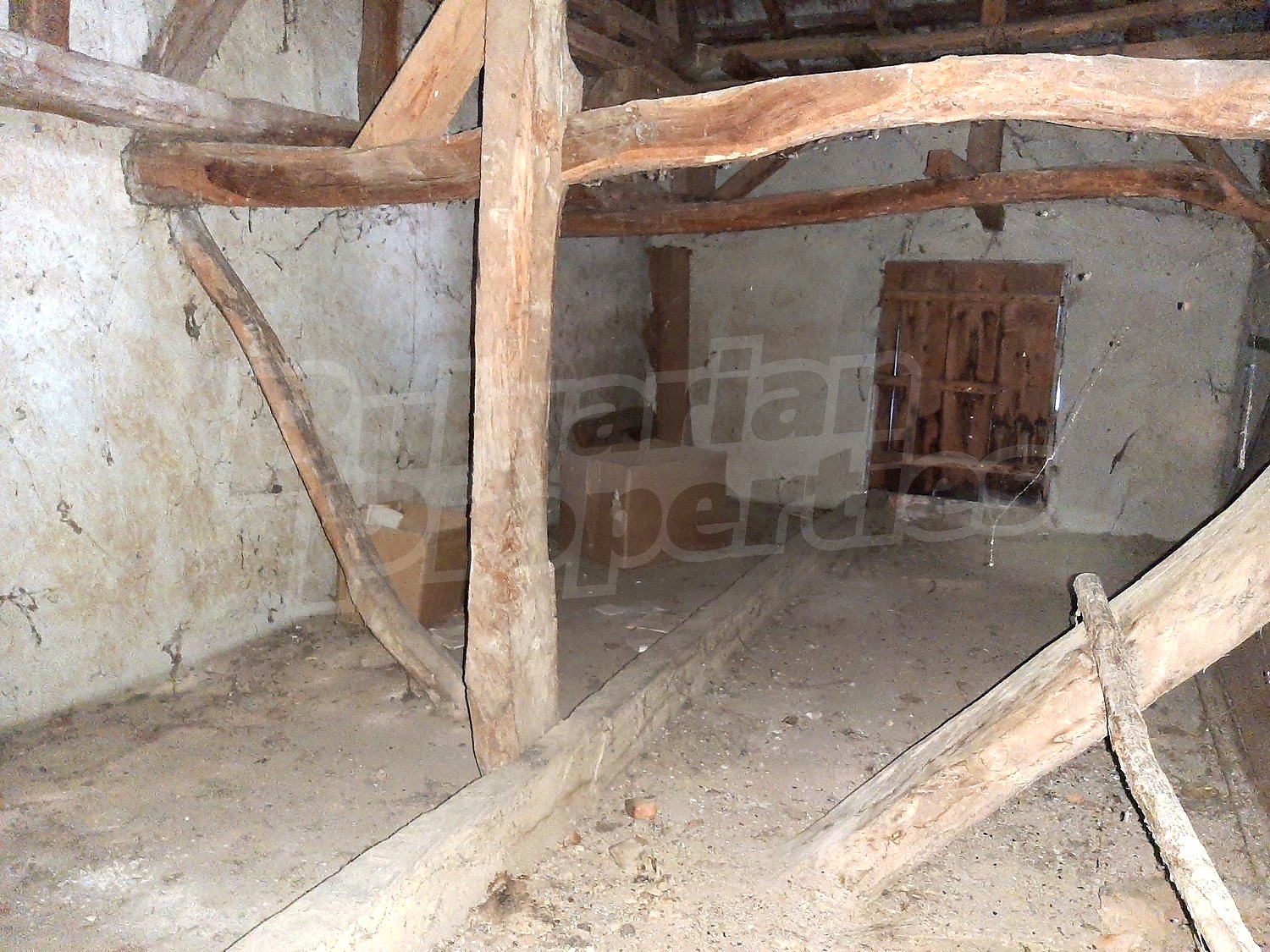 Gallery Picture 22