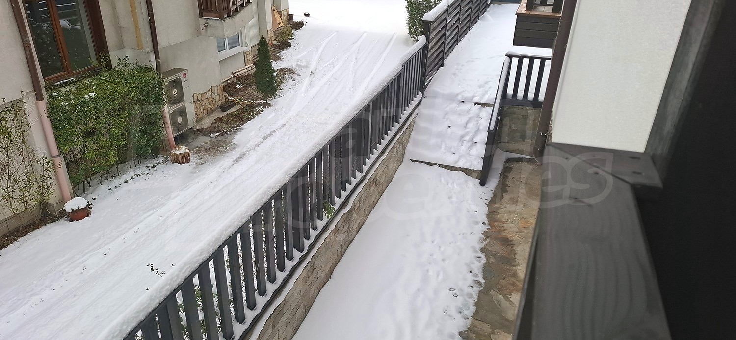 Gallery Picture 9