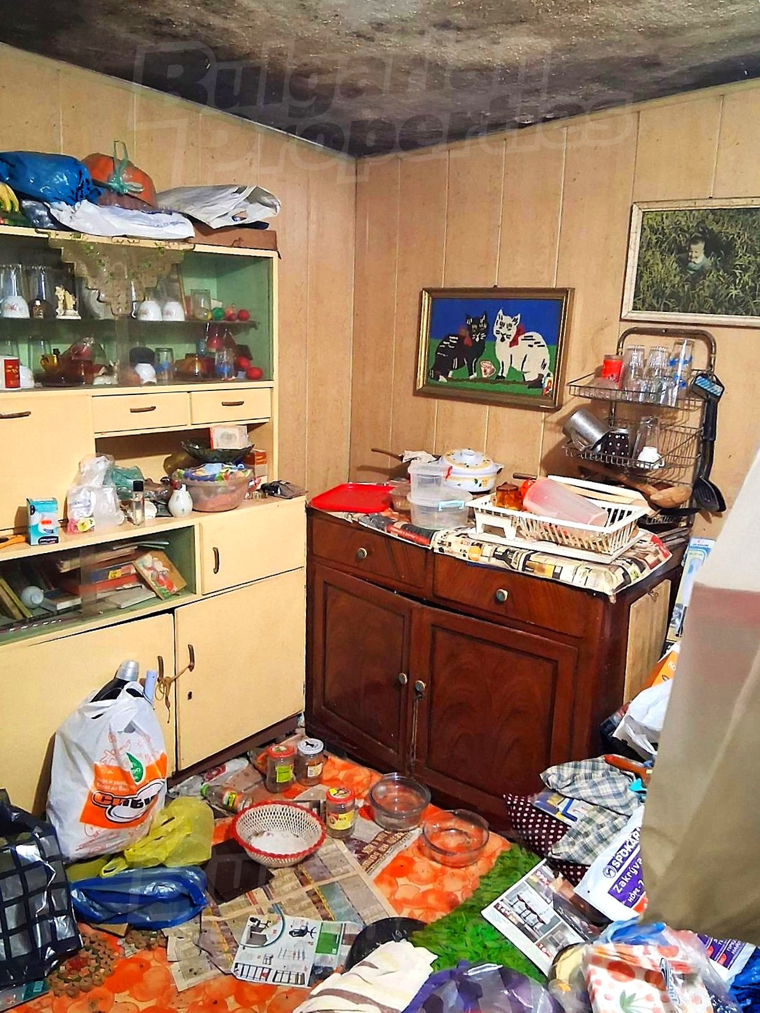 Gallery Picture 19