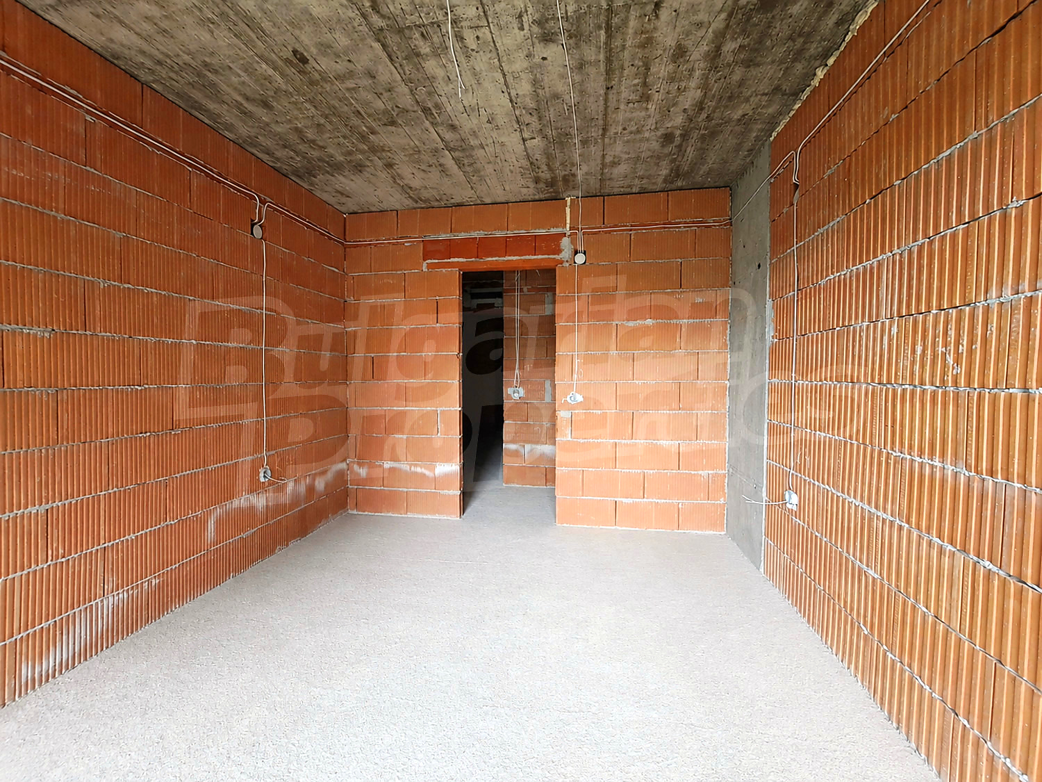 Gallery Picture 12