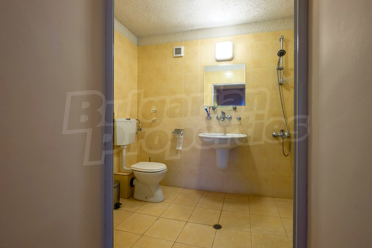 Gallery Picture 19