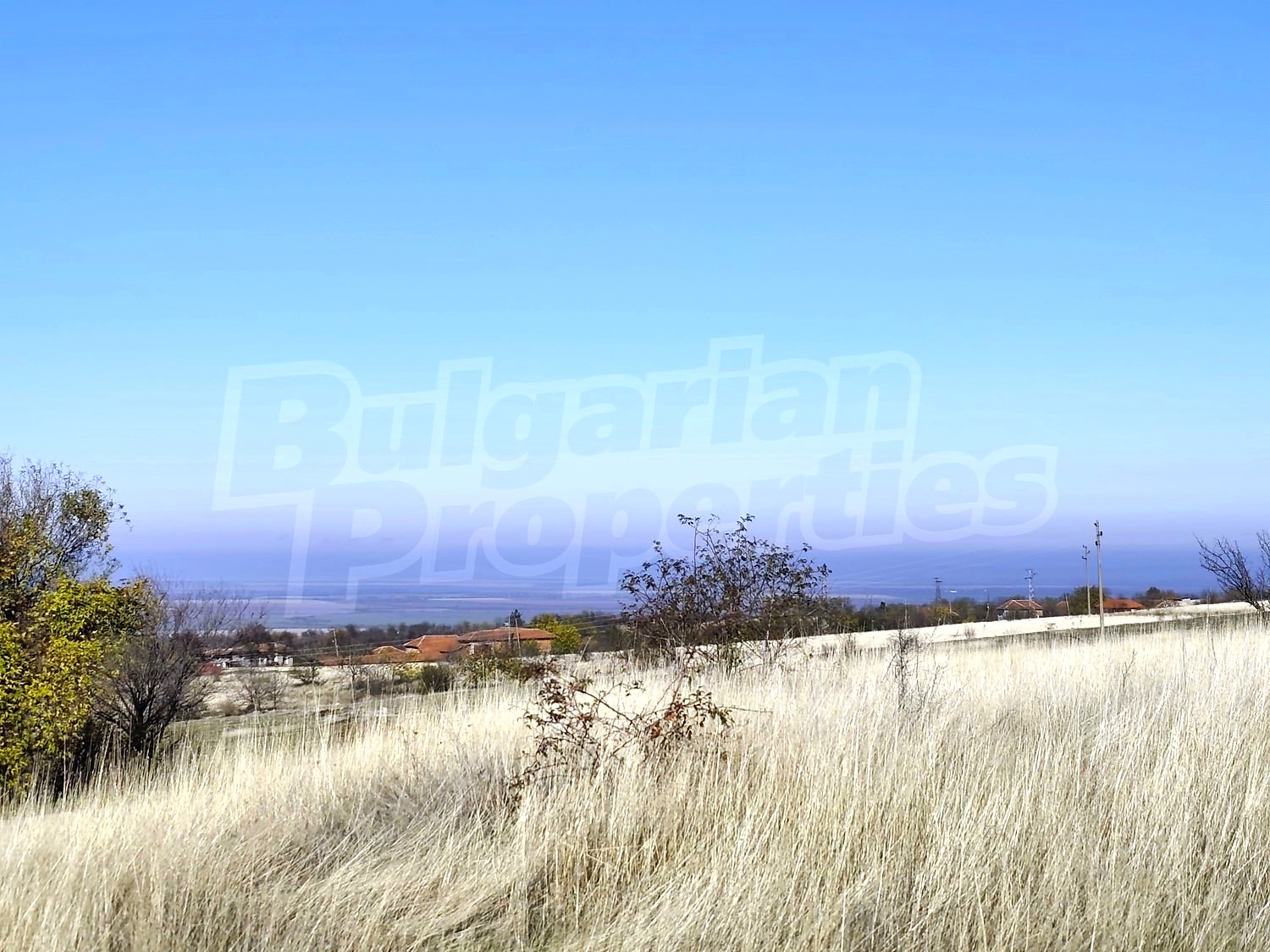 Gallery Picture 41