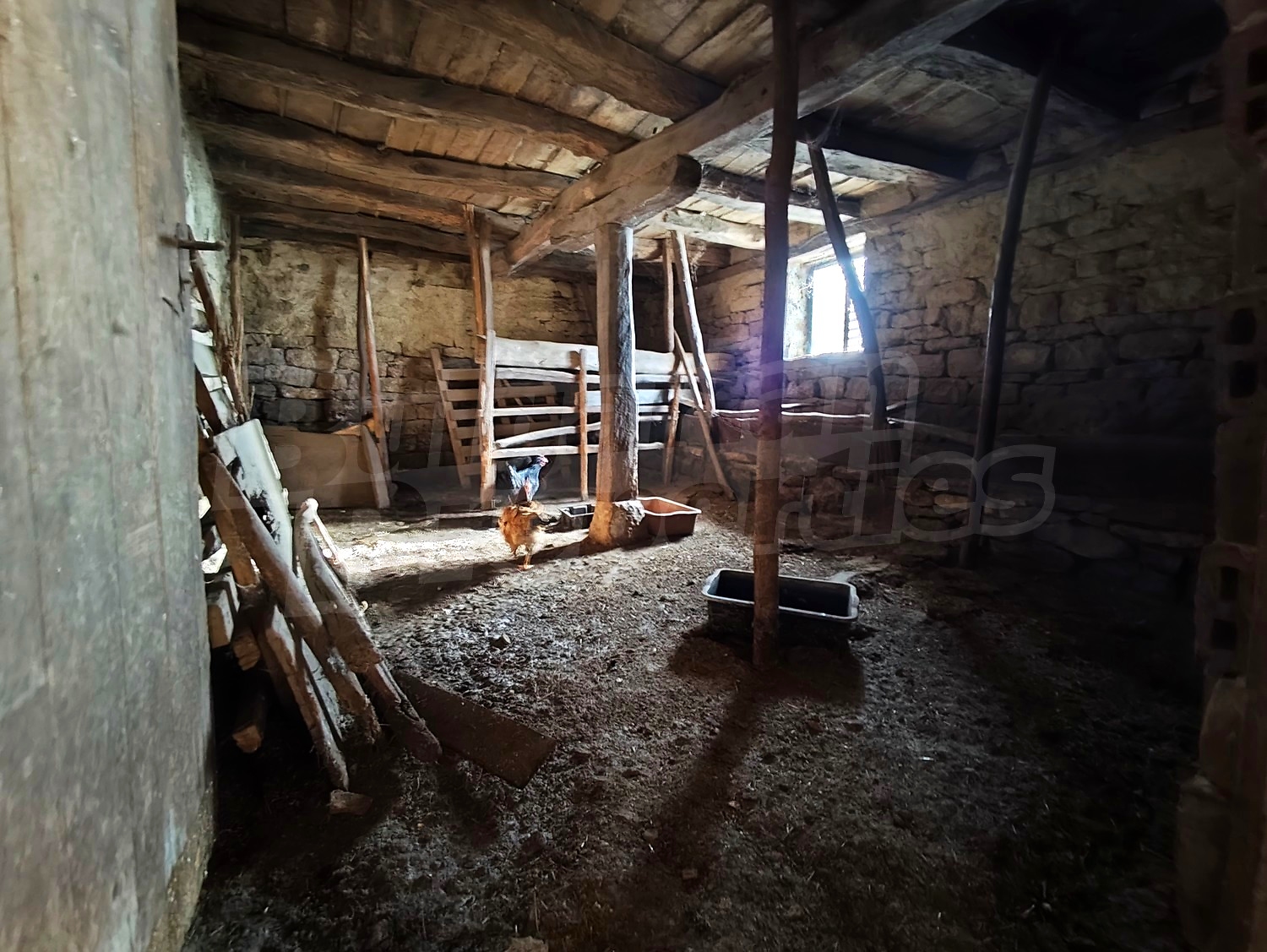 Gallery Picture 24