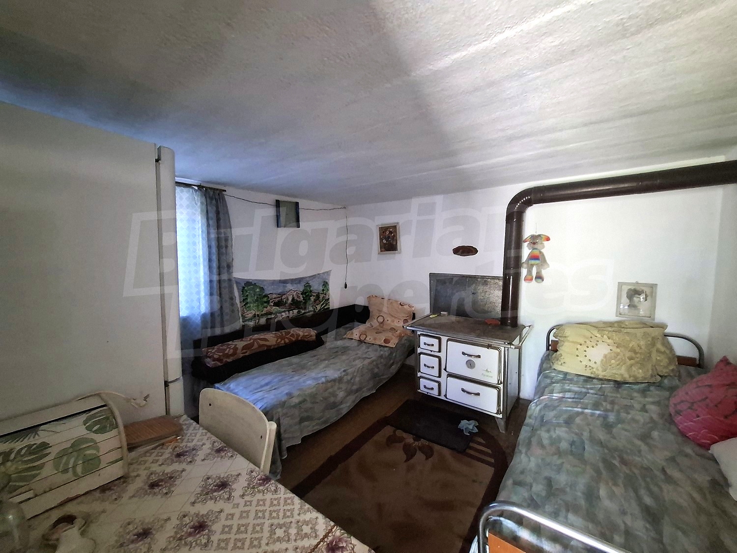 Gallery Picture 11