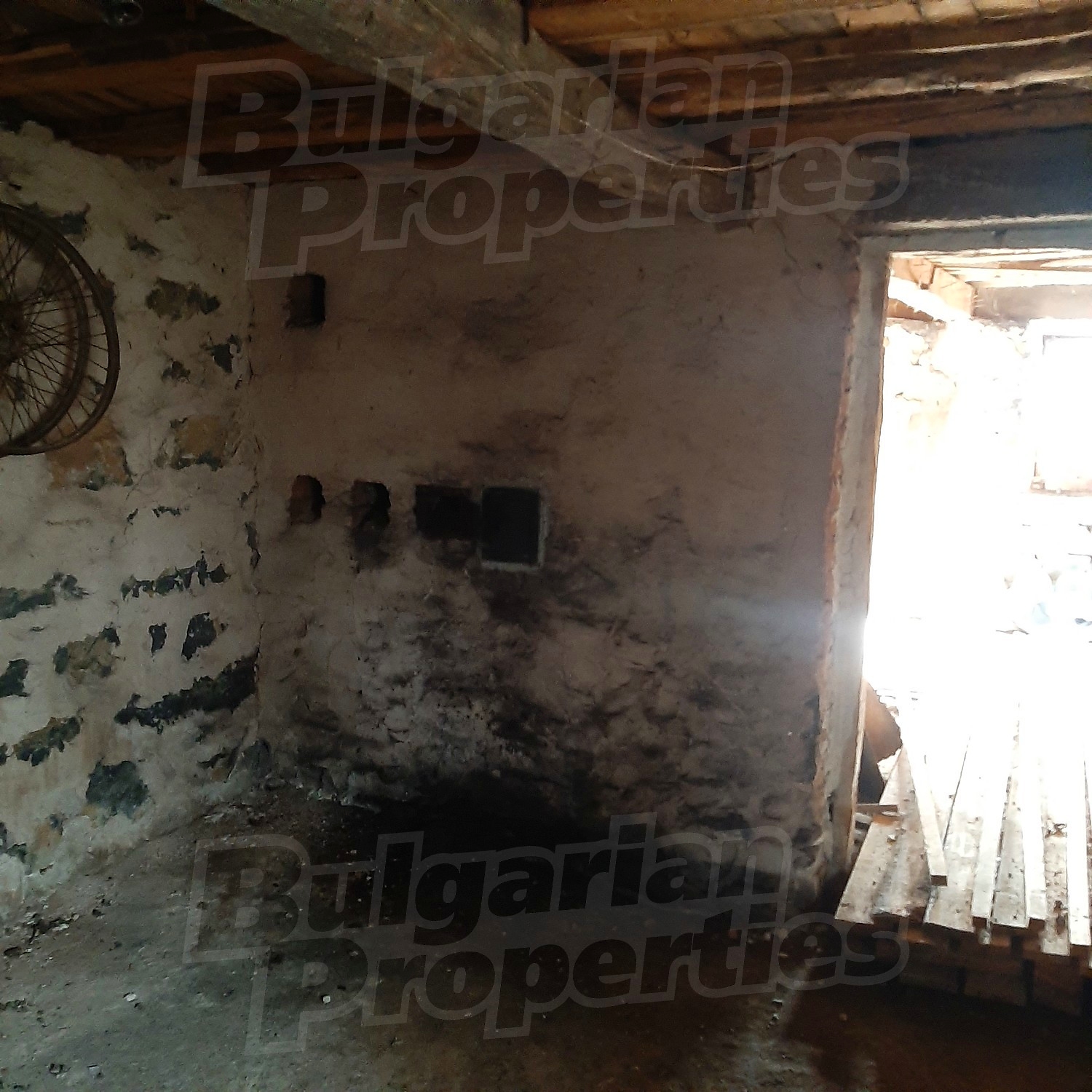 Gallery Picture 27