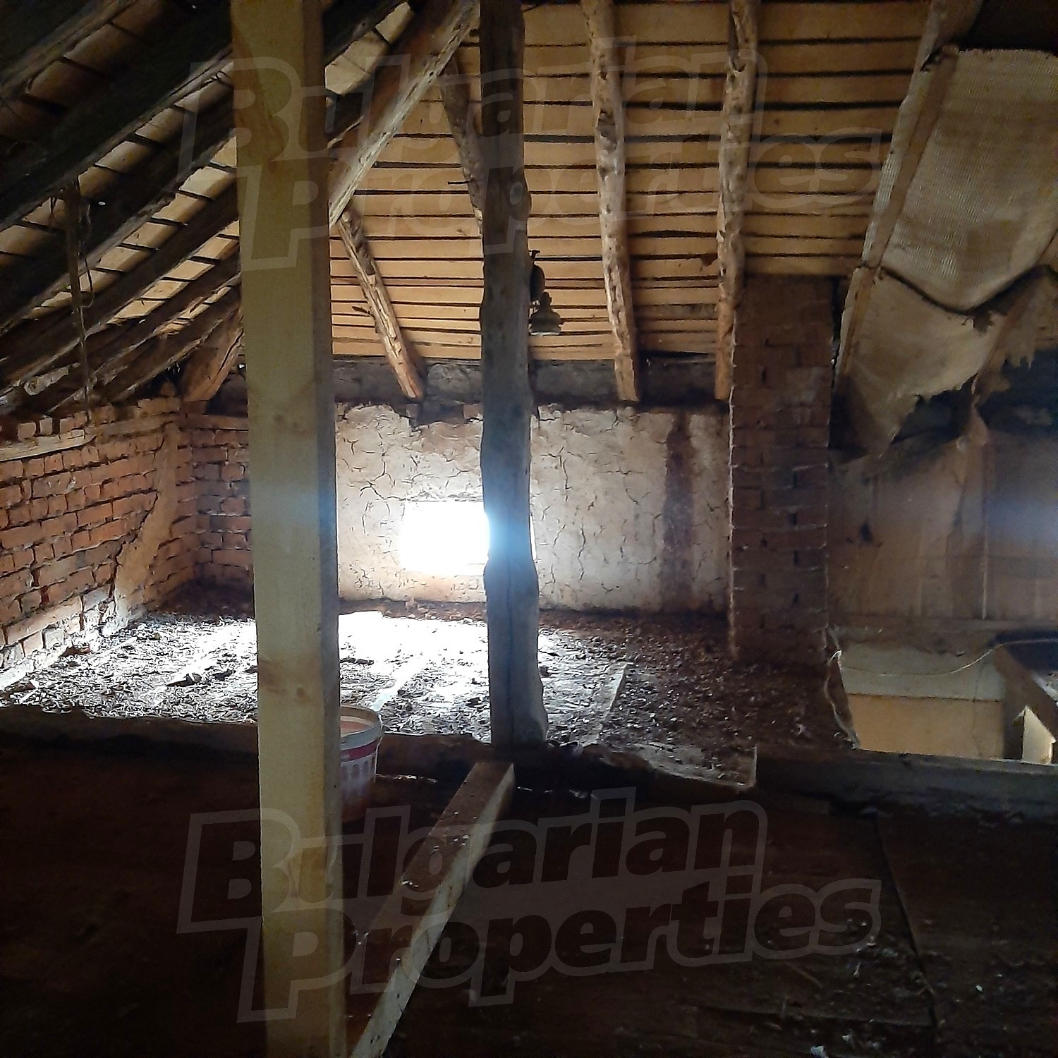 Gallery Picture 14