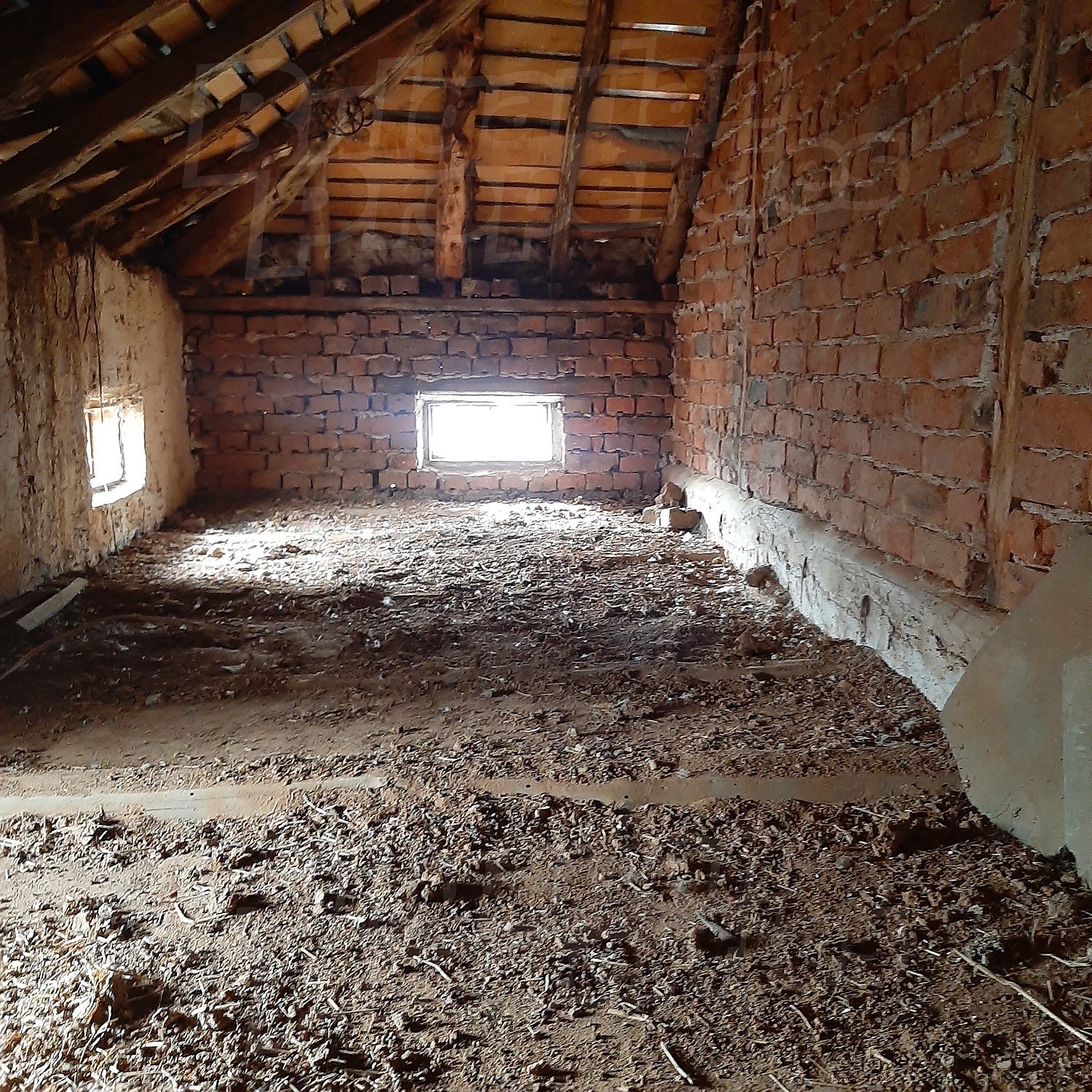 Gallery Picture 12