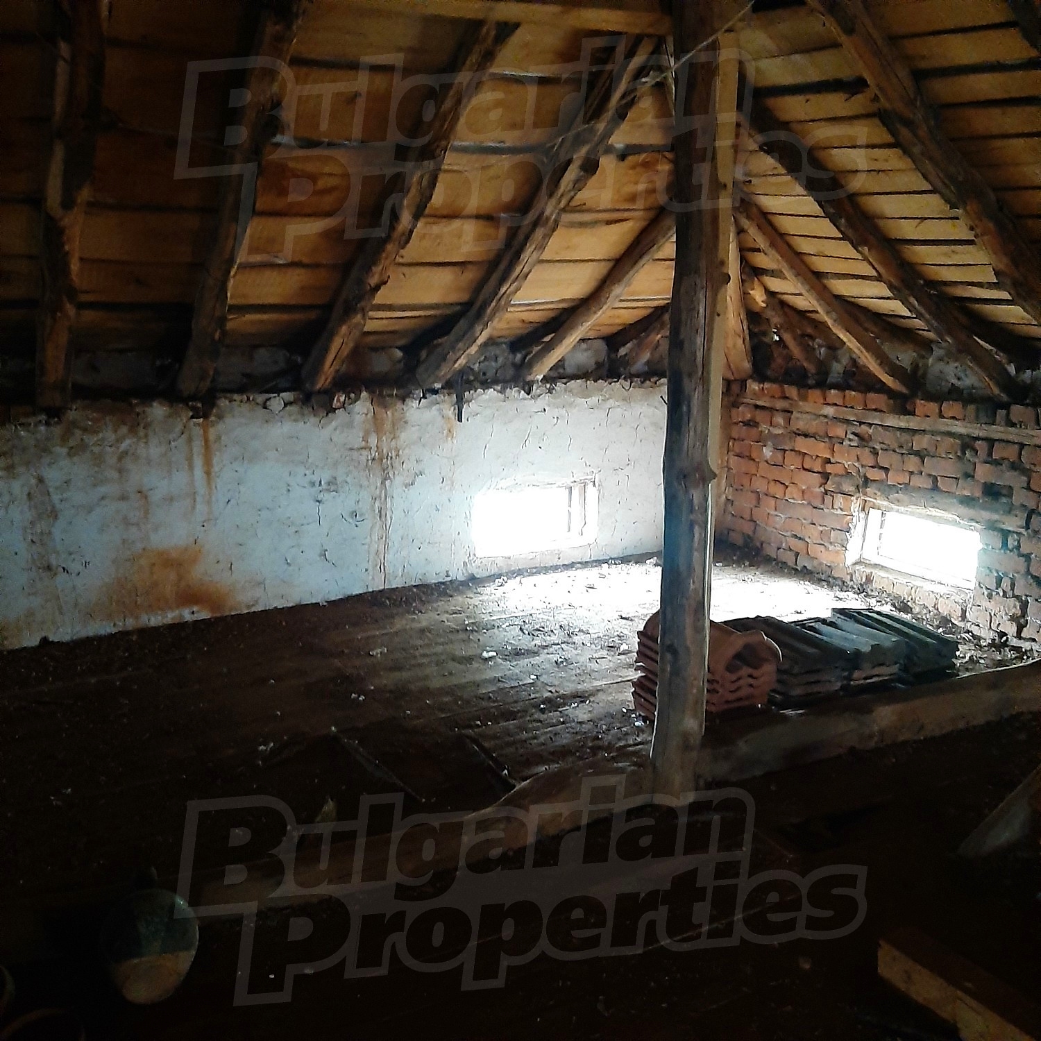 Gallery Picture 41