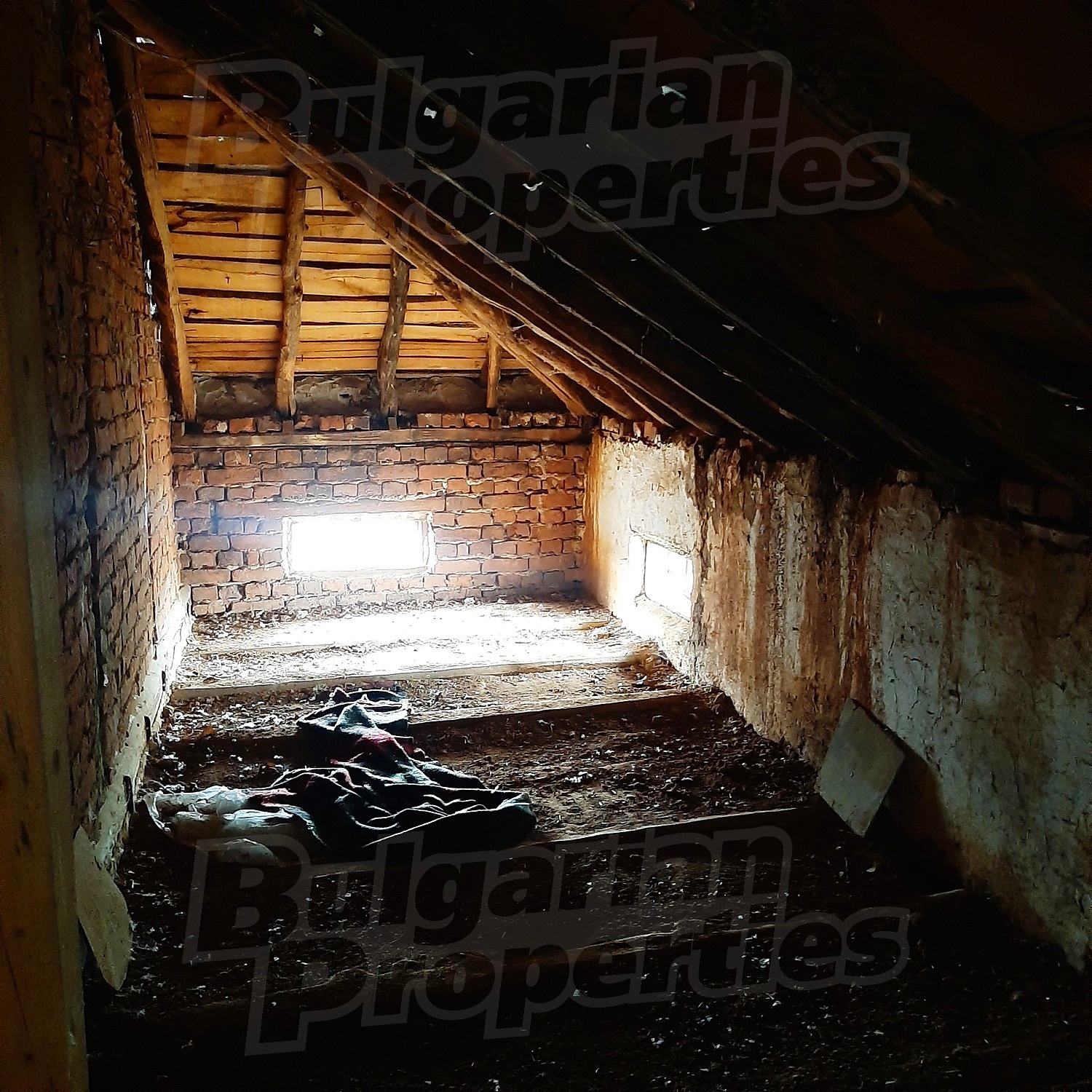 Gallery Picture 43