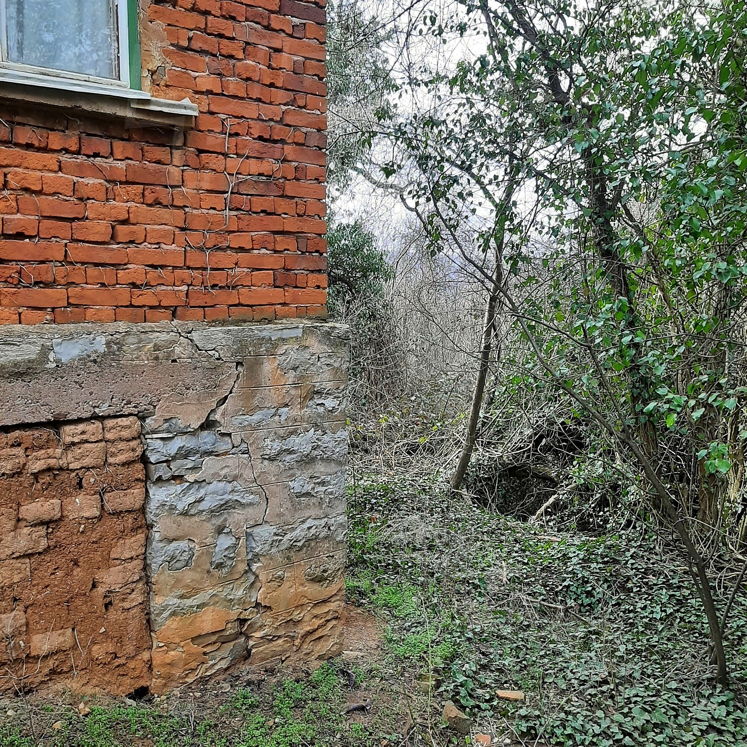 Gallery Picture 47