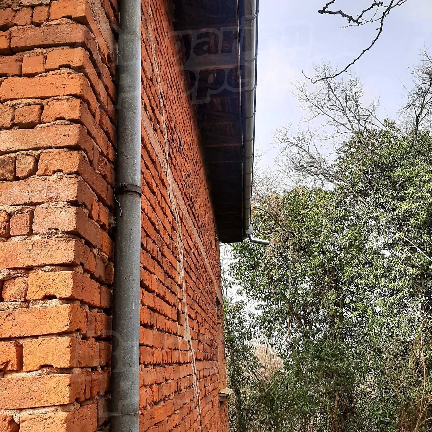 Gallery Picture 48