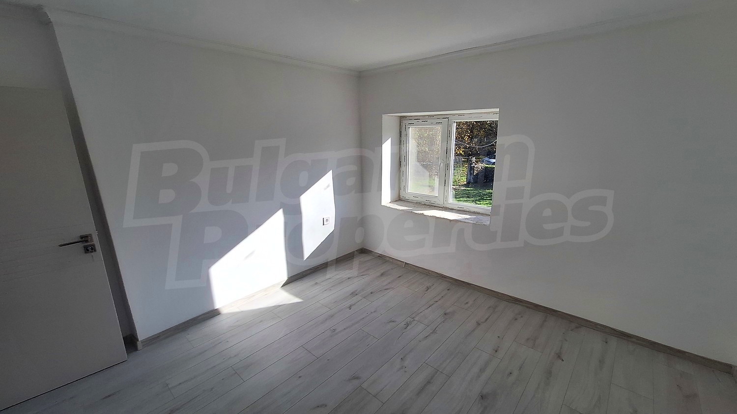 Gallery Picture 38