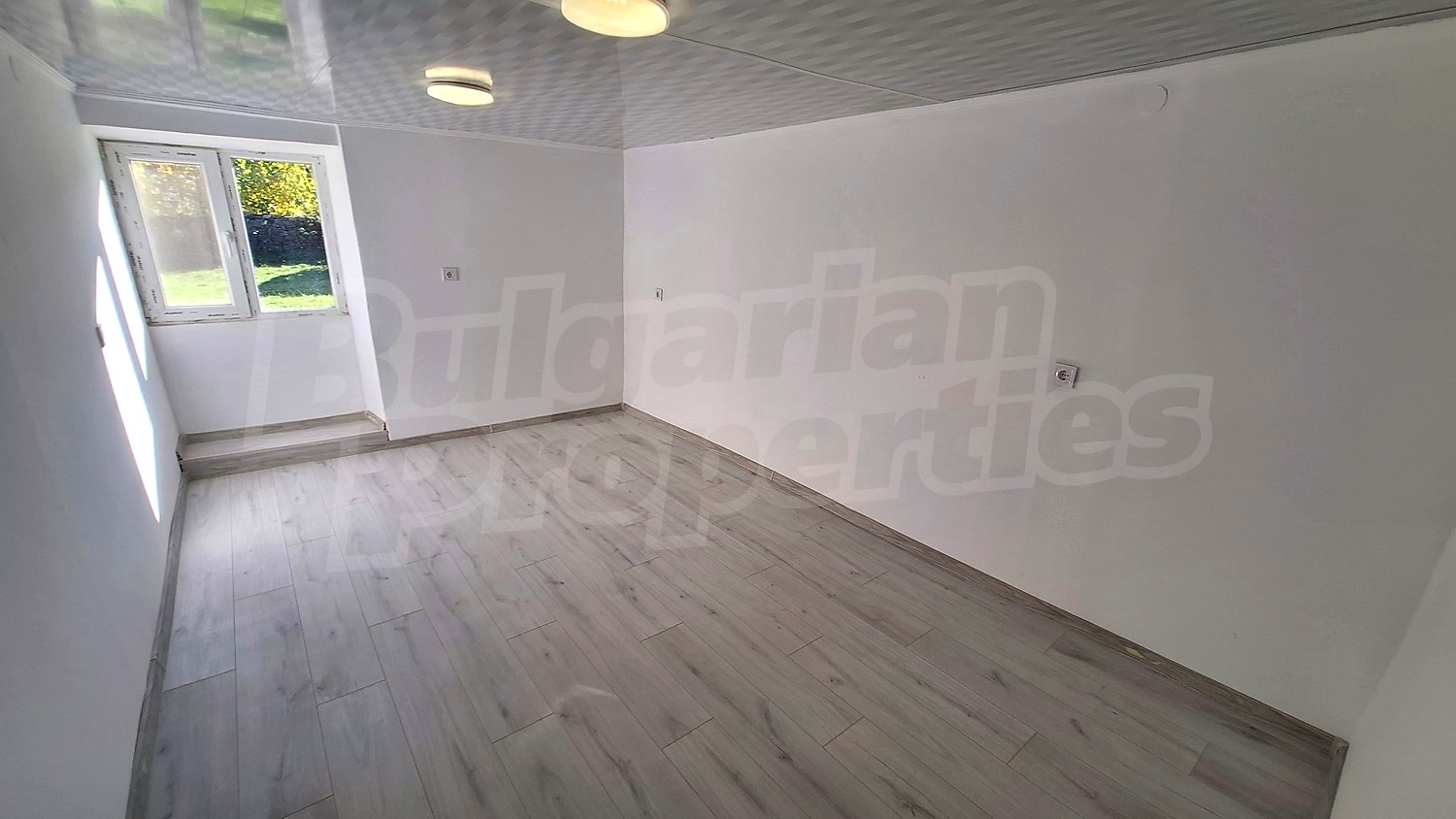 Gallery Picture 16