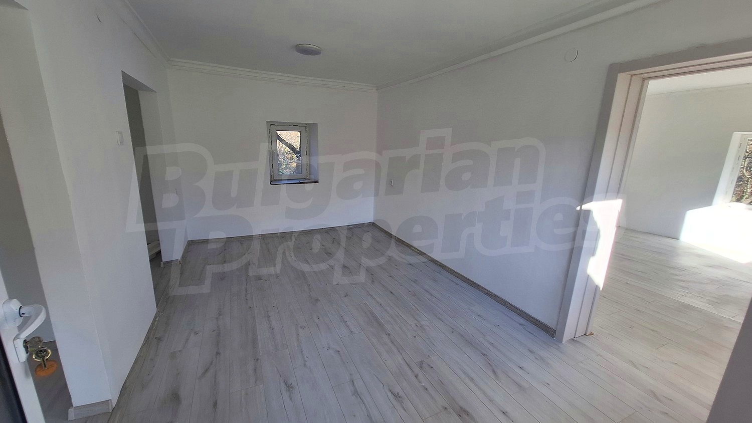 Gallery Picture 17