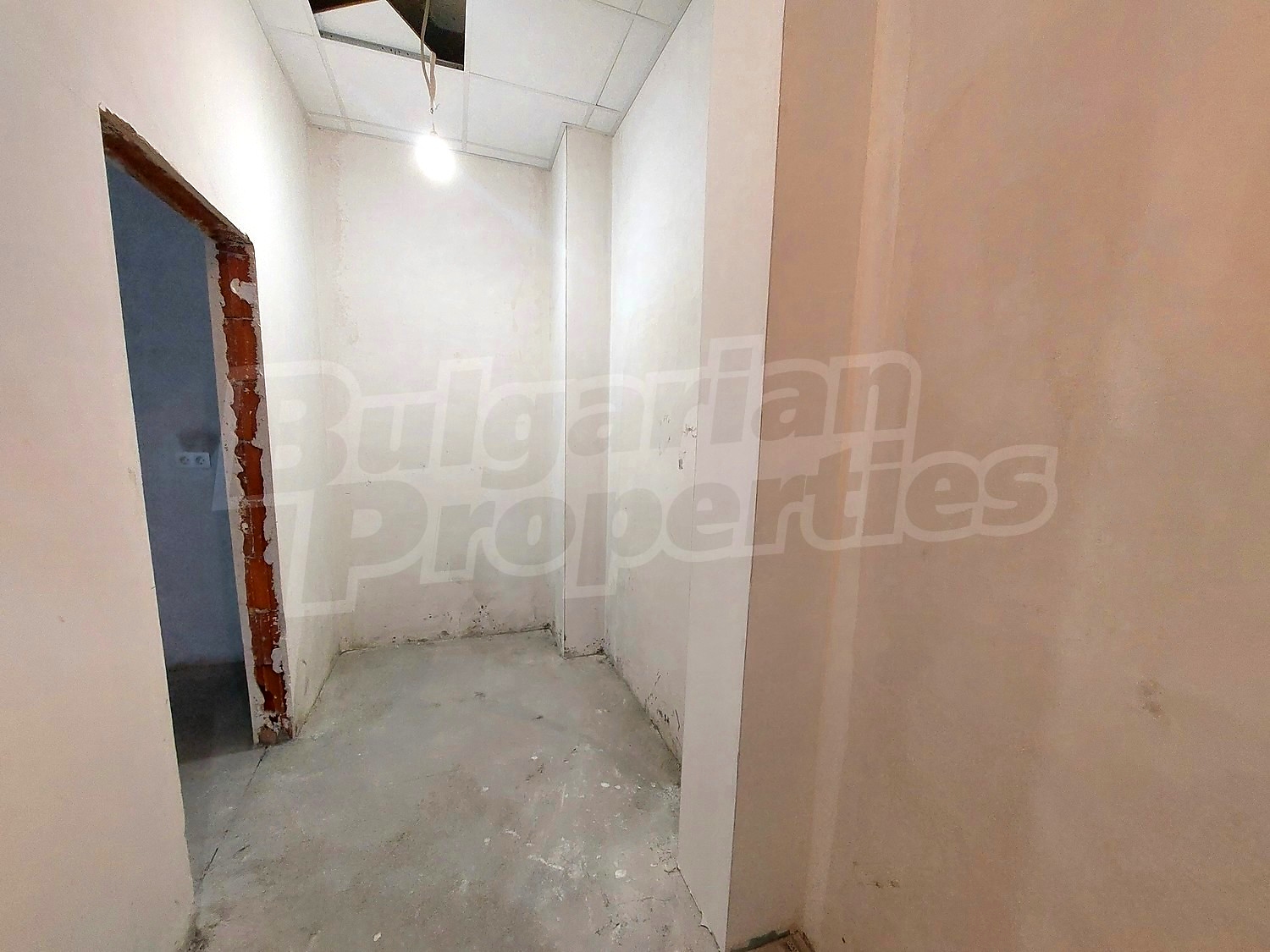 Gallery Picture 11