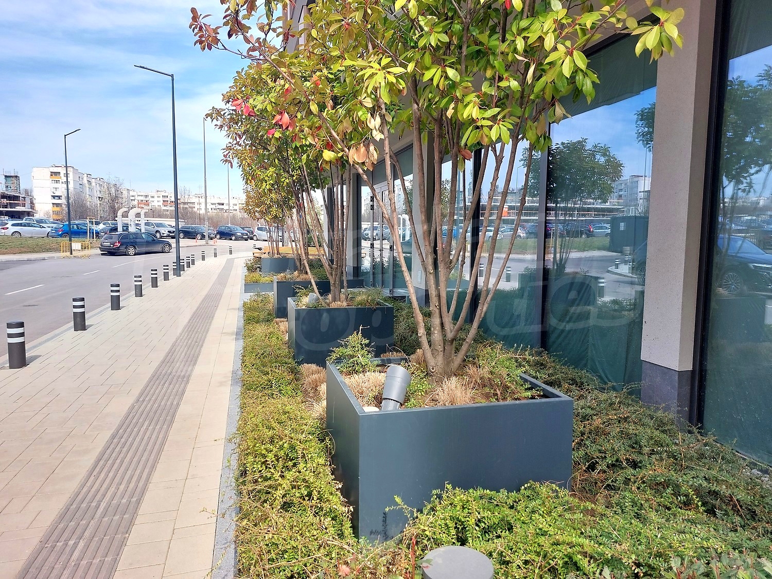Gallery Picture 15