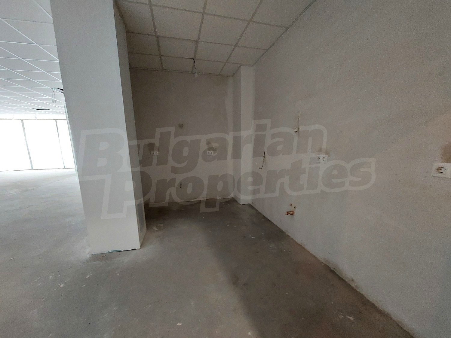 Gallery Picture 12