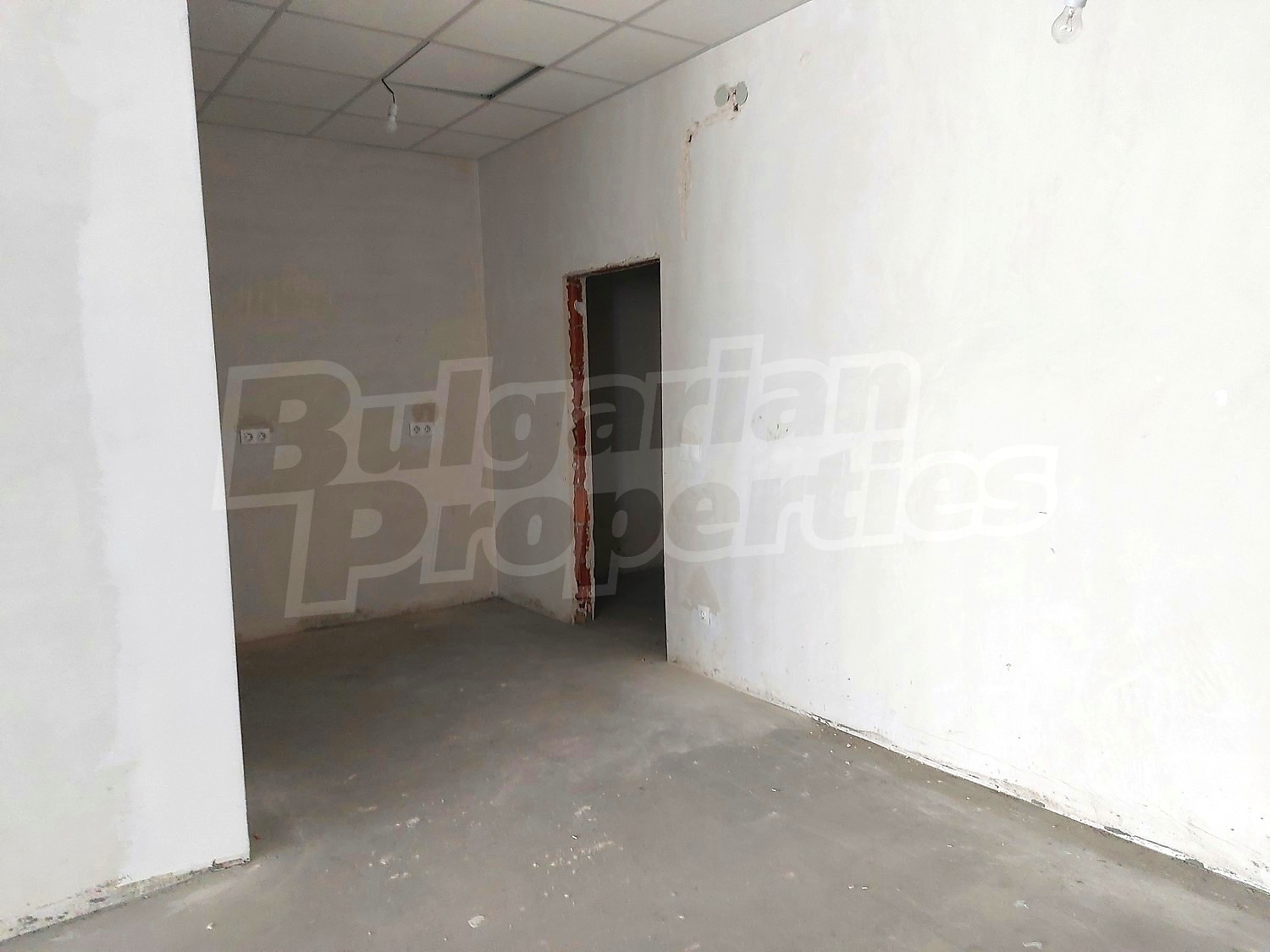 Gallery Picture 7