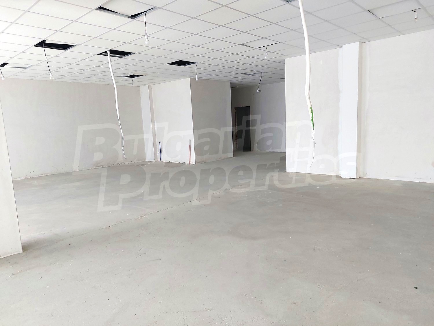 Gallery Picture 4