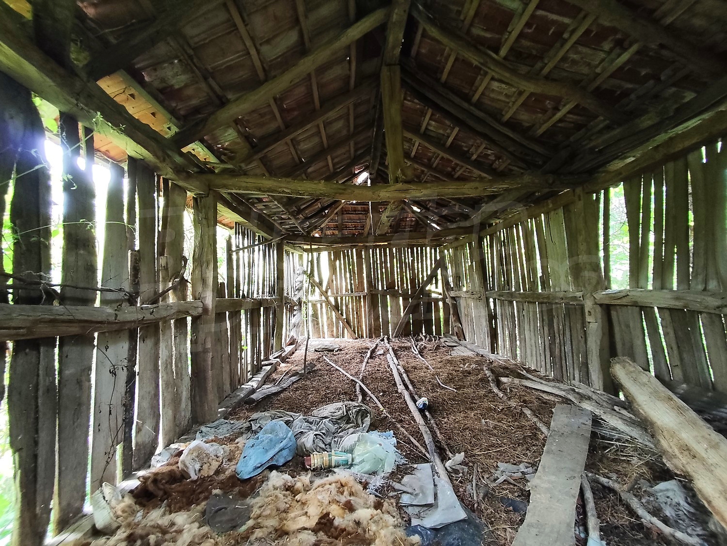 Gallery Picture 14
