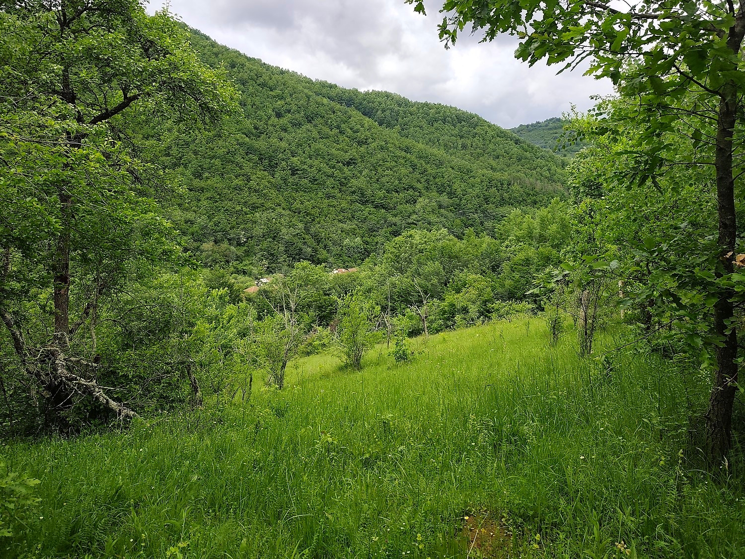 Gallery Picture 16
