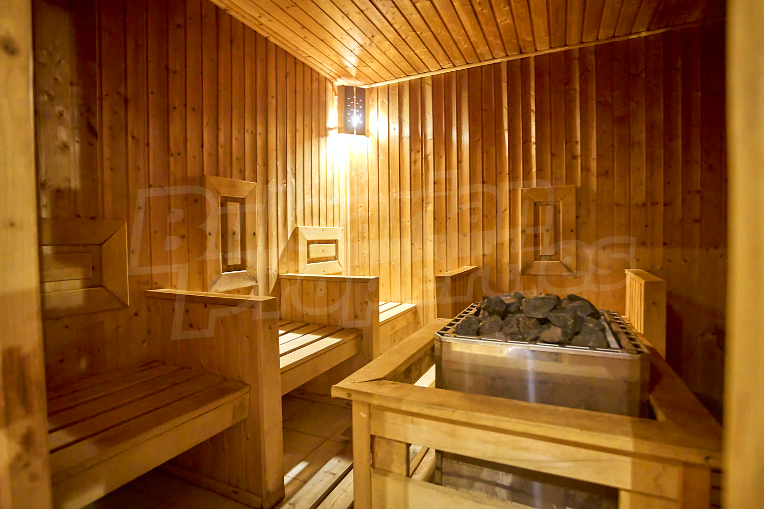 Gallery Picture 51