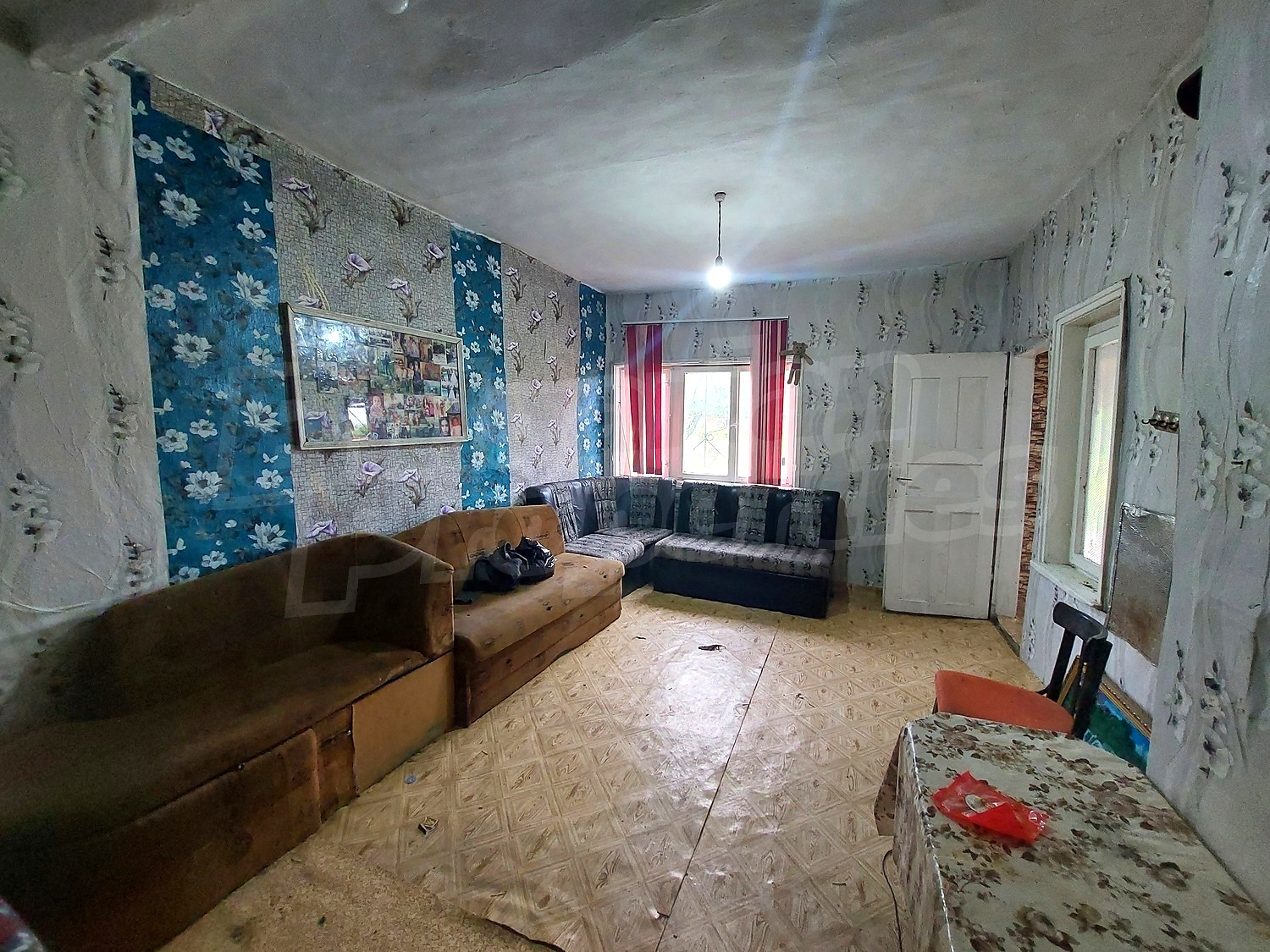 Gallery Picture 14