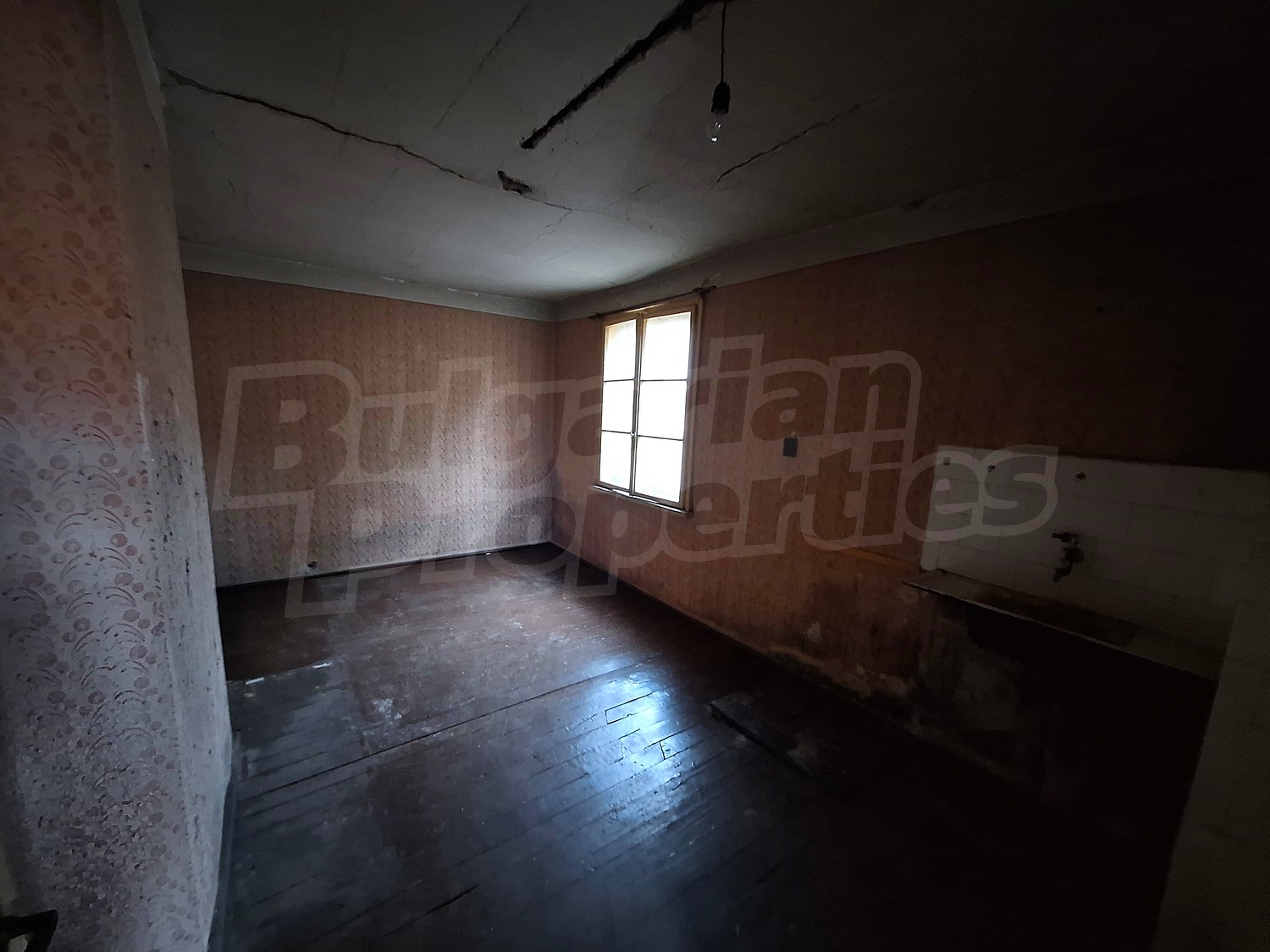 Gallery Picture 9